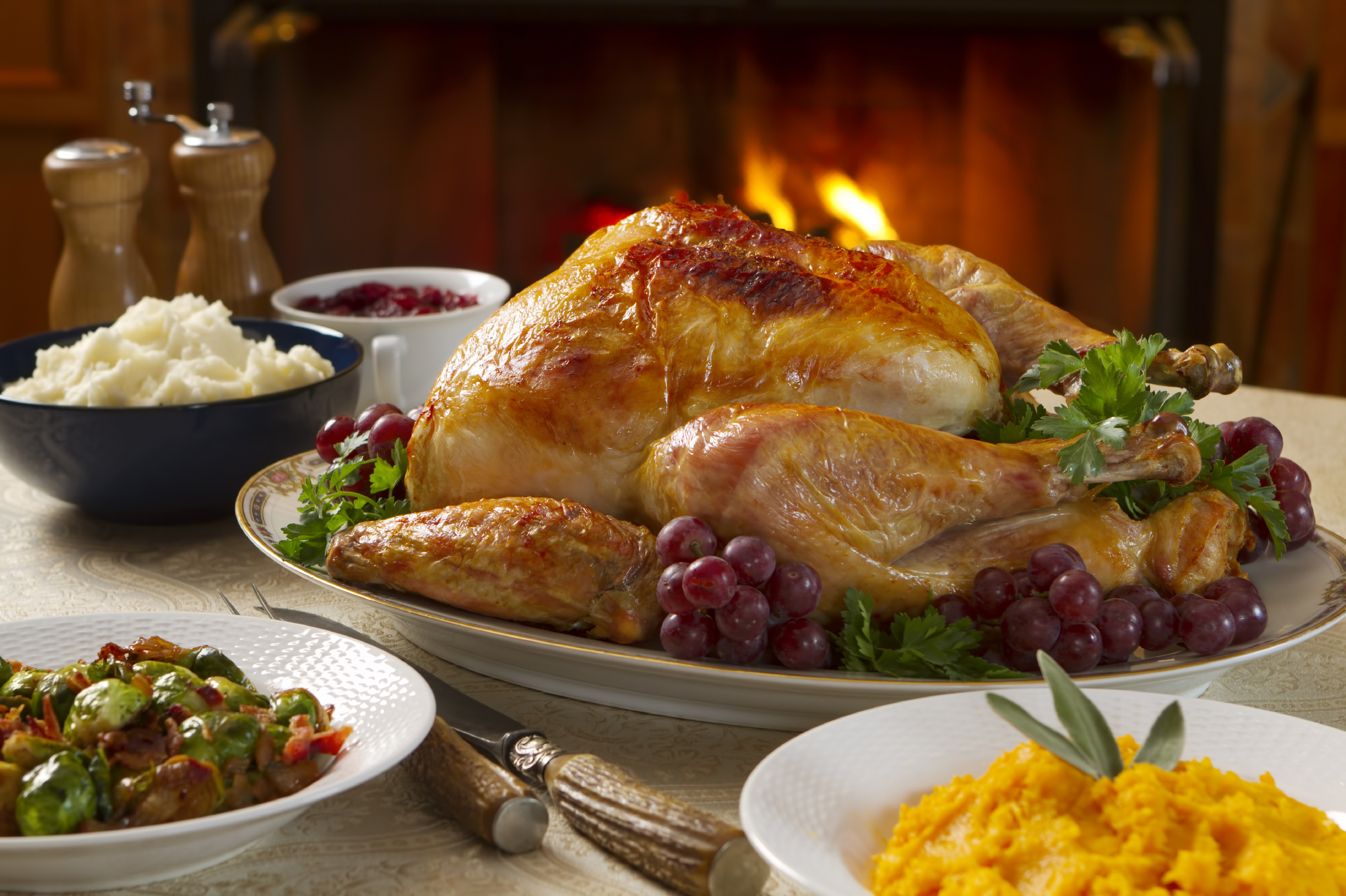 Thanksgiving Turkey Wallpaper (65+ images)