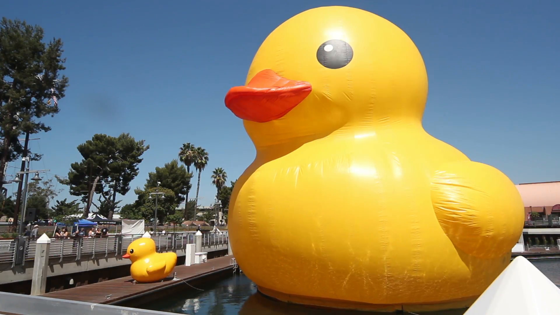 Giant Rubber Duck Wallpaper (77+ images)