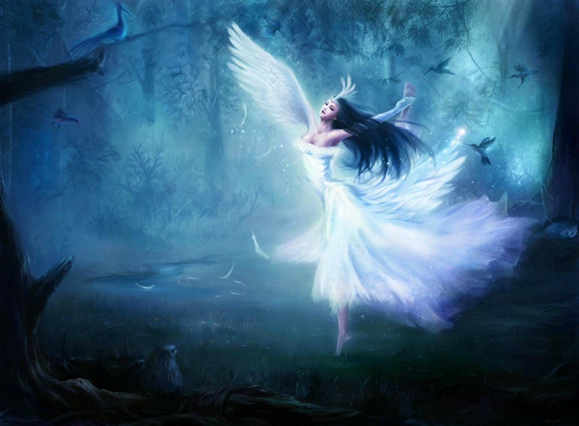HD Fairy Wallpaper (62+ images)