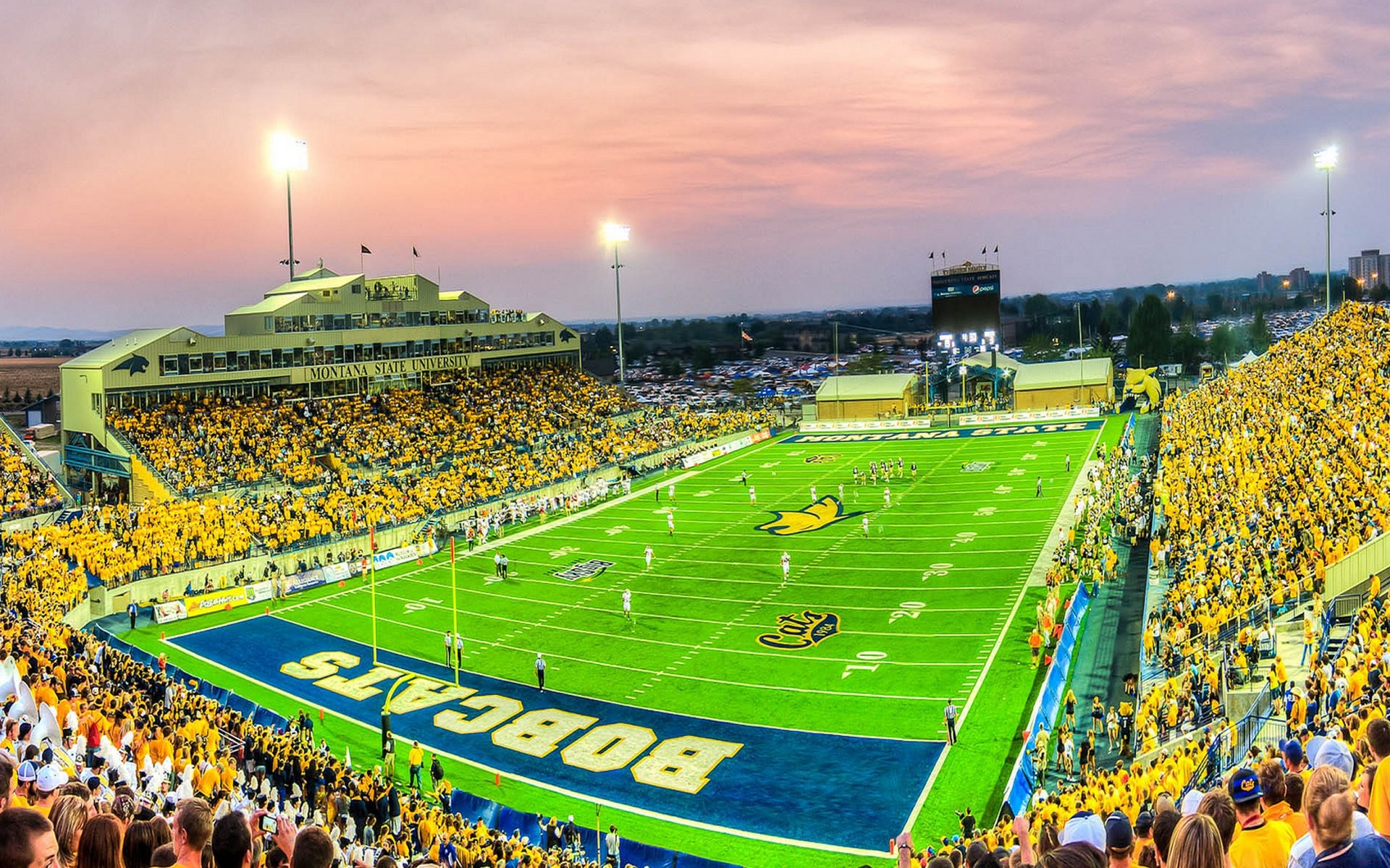 Montana State University Wallpaper 57 Images 