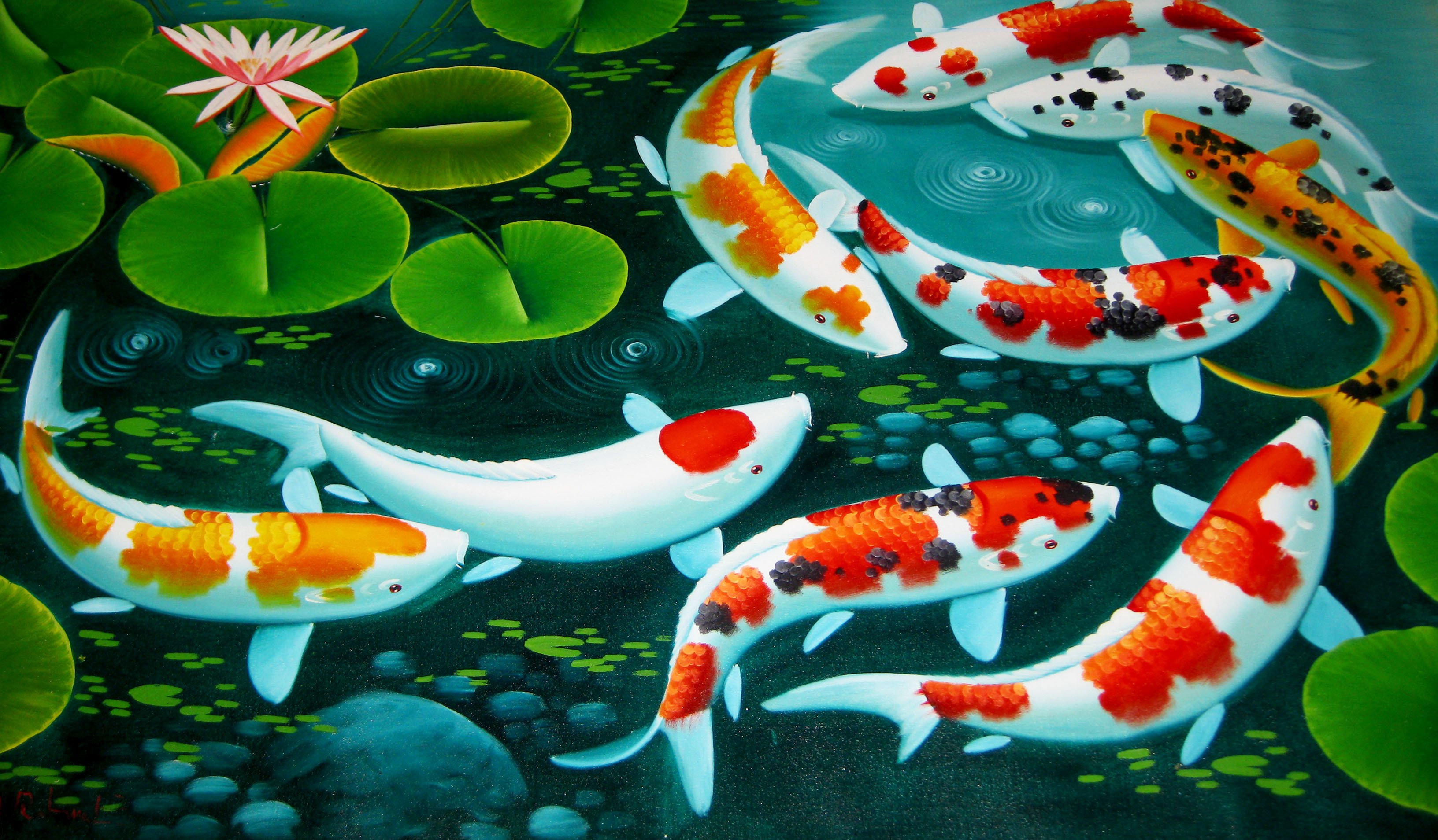 Hd koi fish wallpaper 54 images for Koi pond screensaver