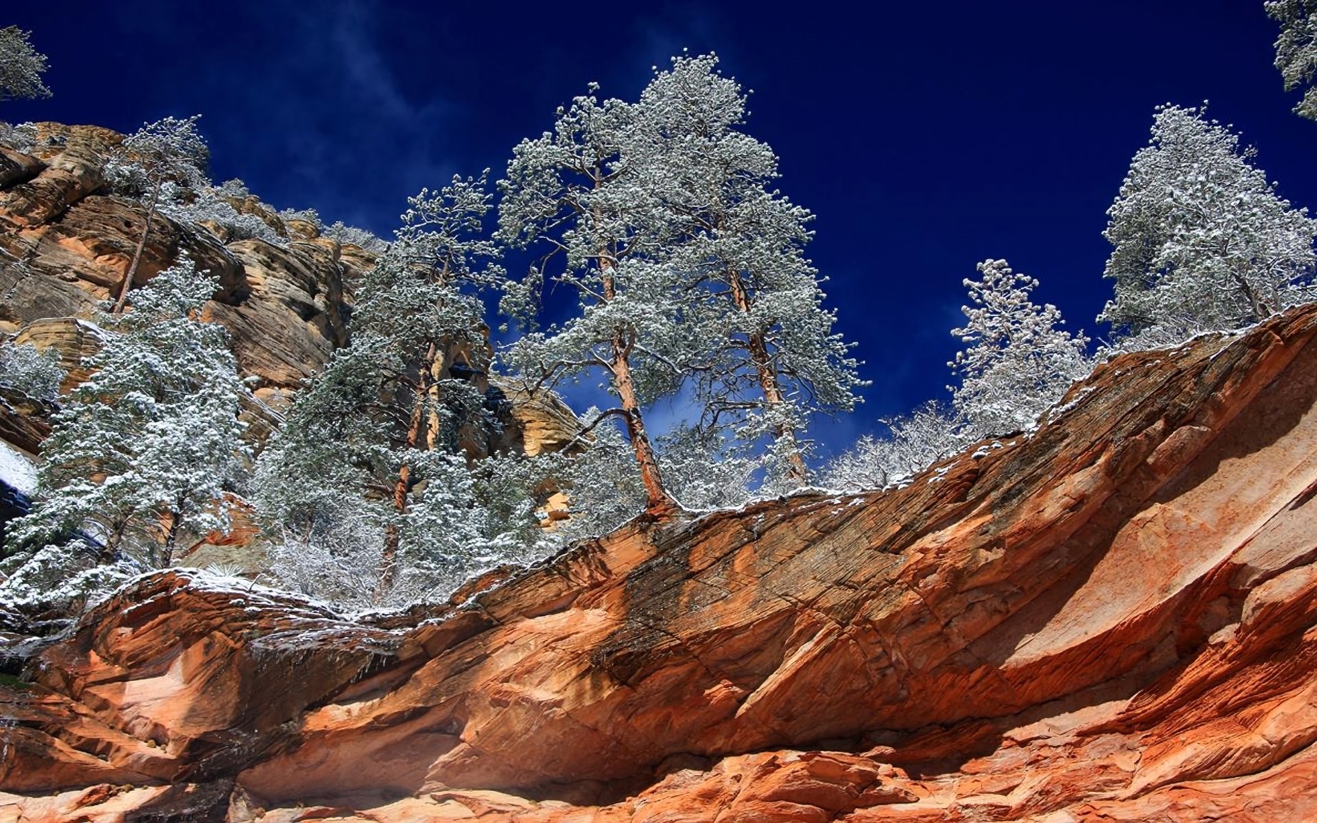 Arizona desert az