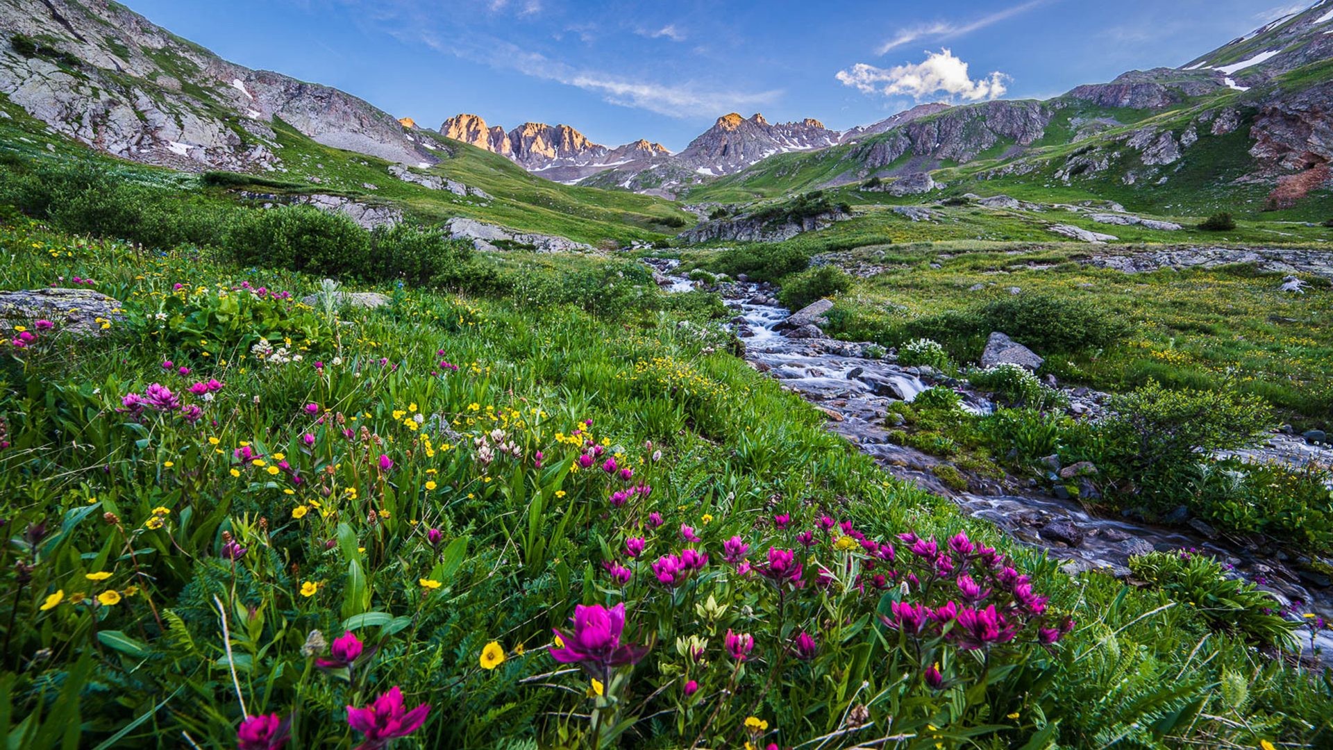 Wildflower Meadow Wallpapers Beautiful