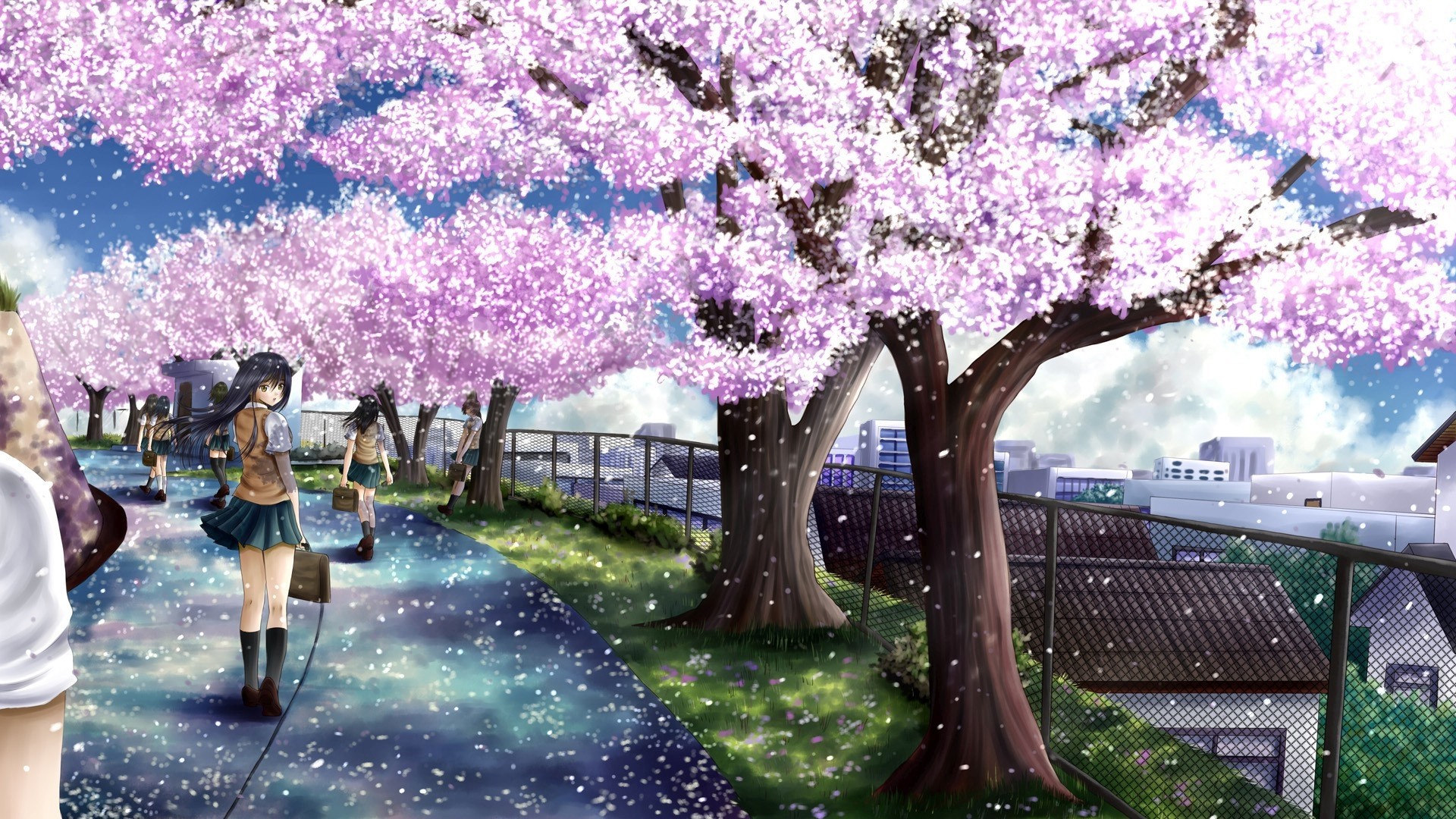 Anime Cherry Blossom Wallpaper (72+ images)