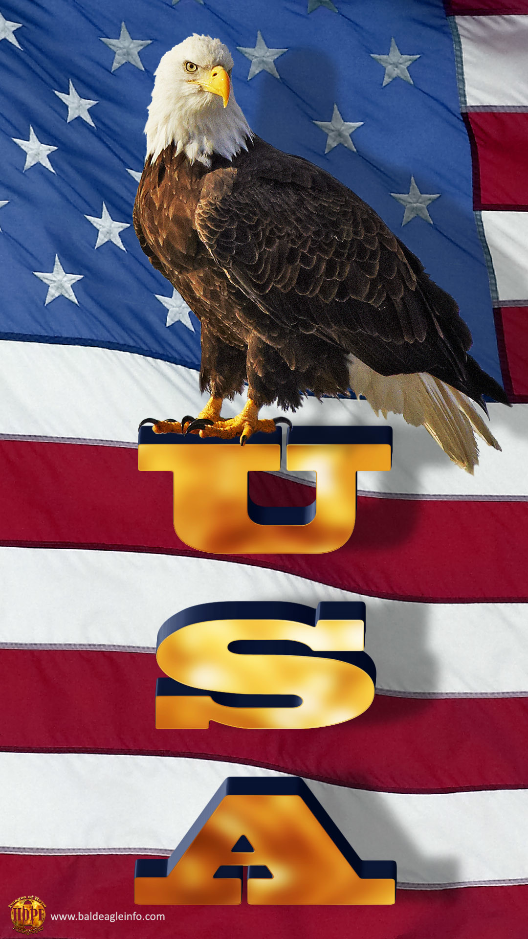 American Flag With Eagle Wallpaper (70+ images)