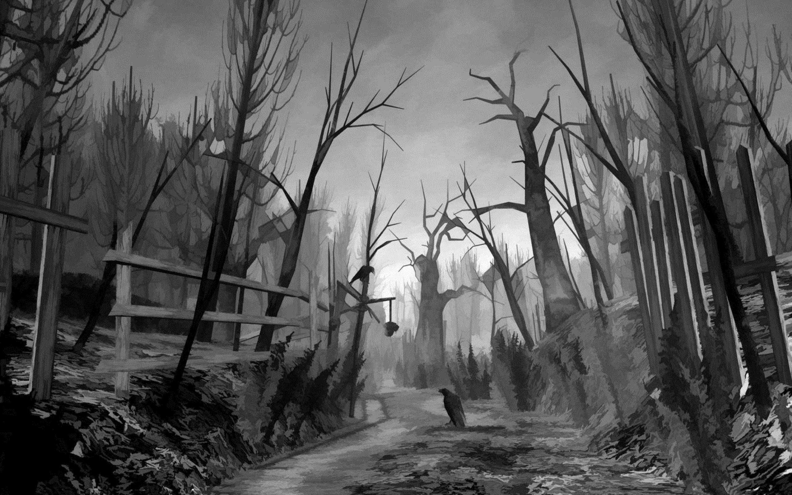 Scary Forest Wallpaper 57 Images 