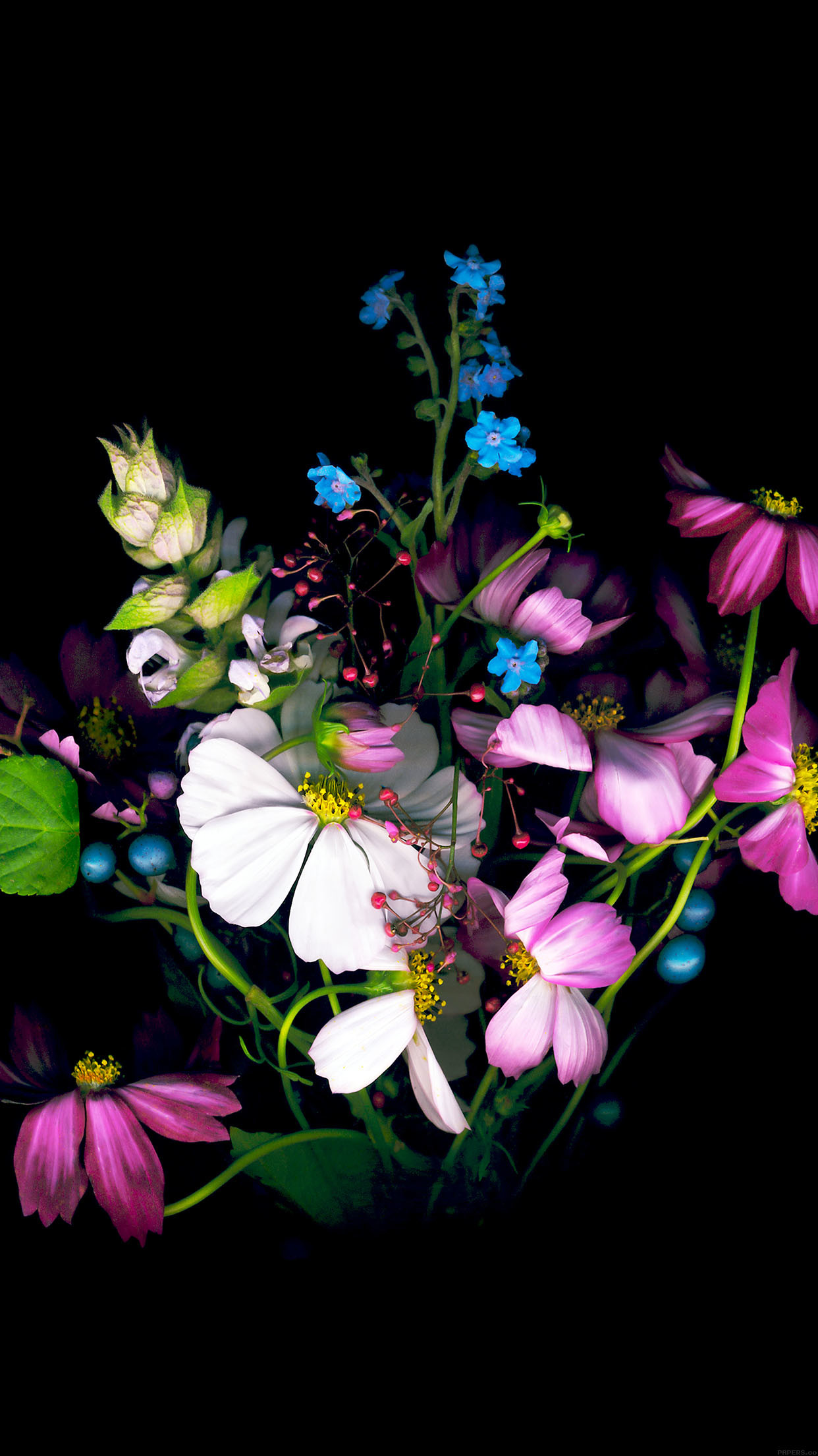 Dark Flower Wallpaper (70+ images)