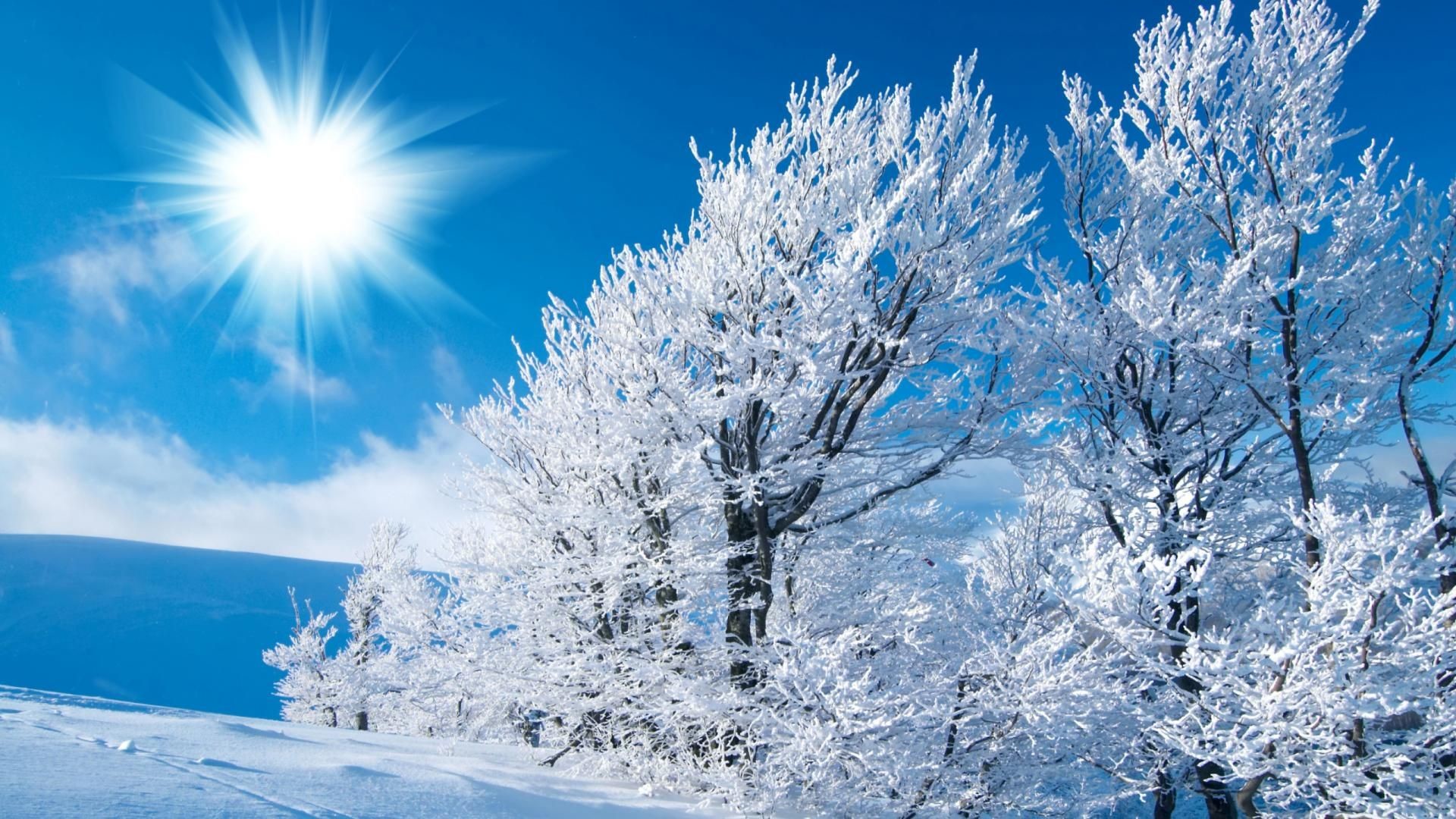 Winter Country Scenes Wallpaper (22+ images)