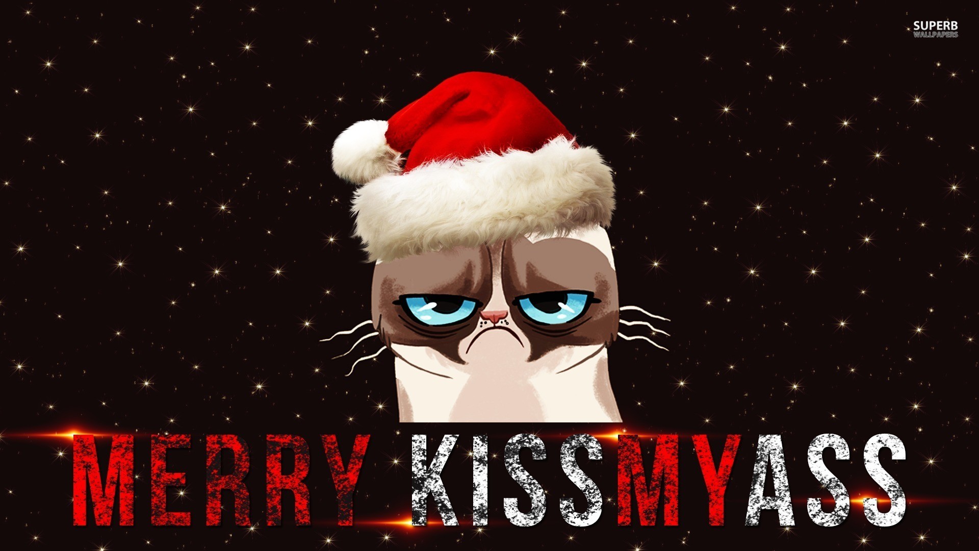 Funny Cat Christmas Wallpaper (55+ images)