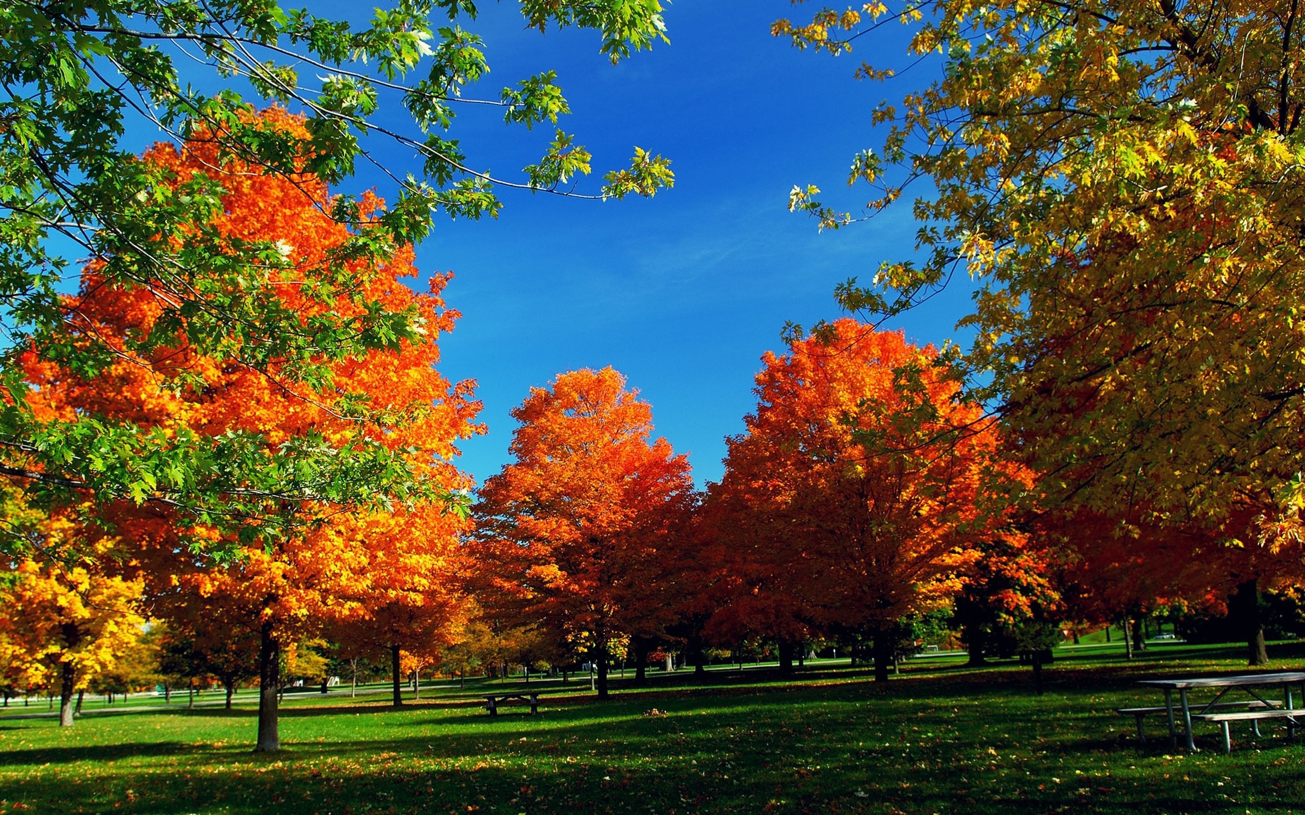 Autumn HD Widescreen Wallpaper (71+ images)