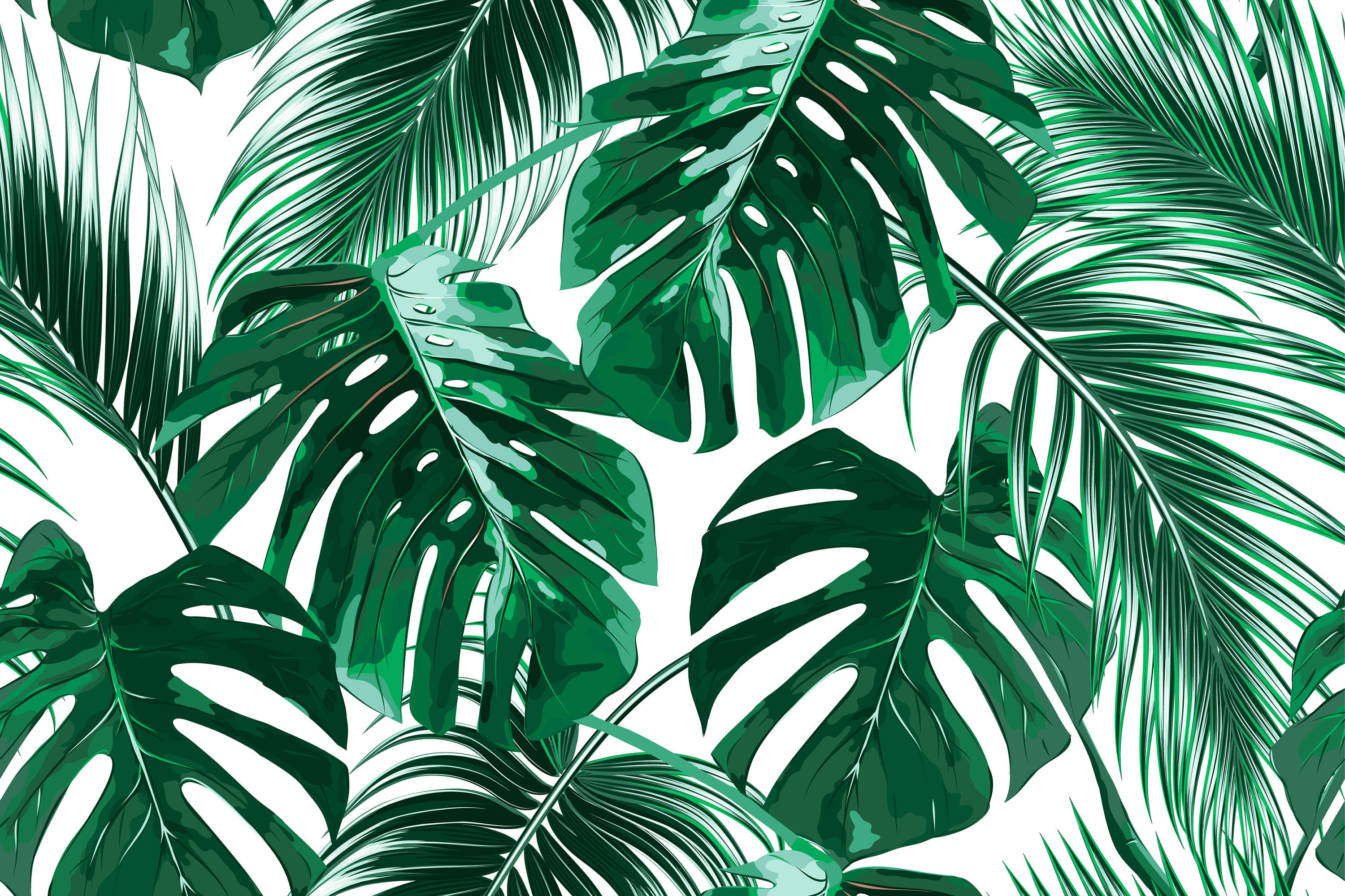 Palm Leaves Wallpaper (37+ images)