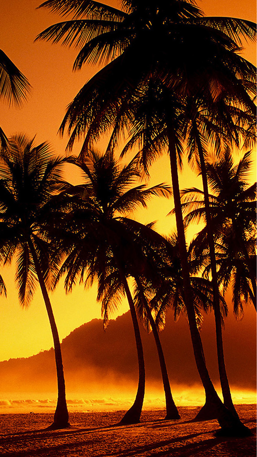 Palm Tree Sunset Wallpaper (70+ images)