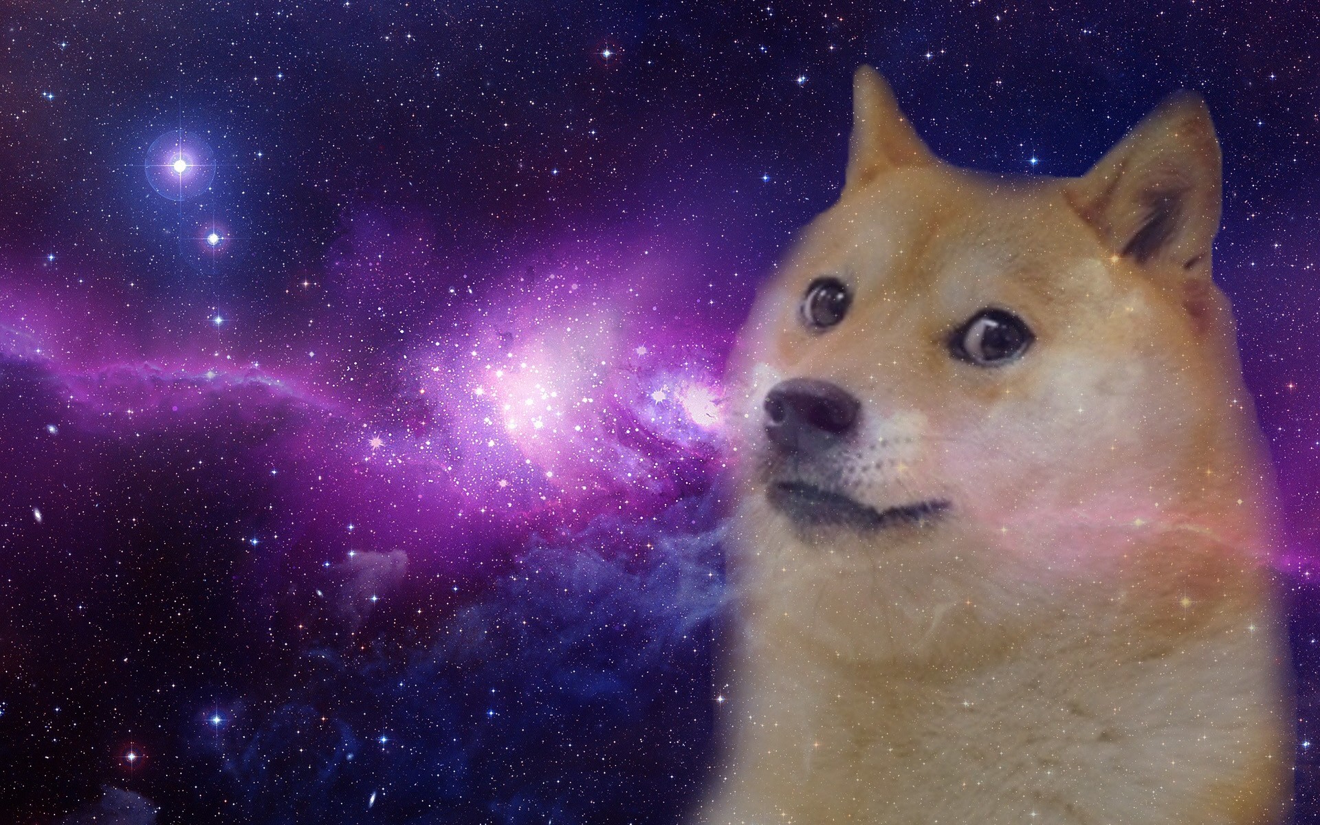 Doge Space Wallpaper (69+ images)