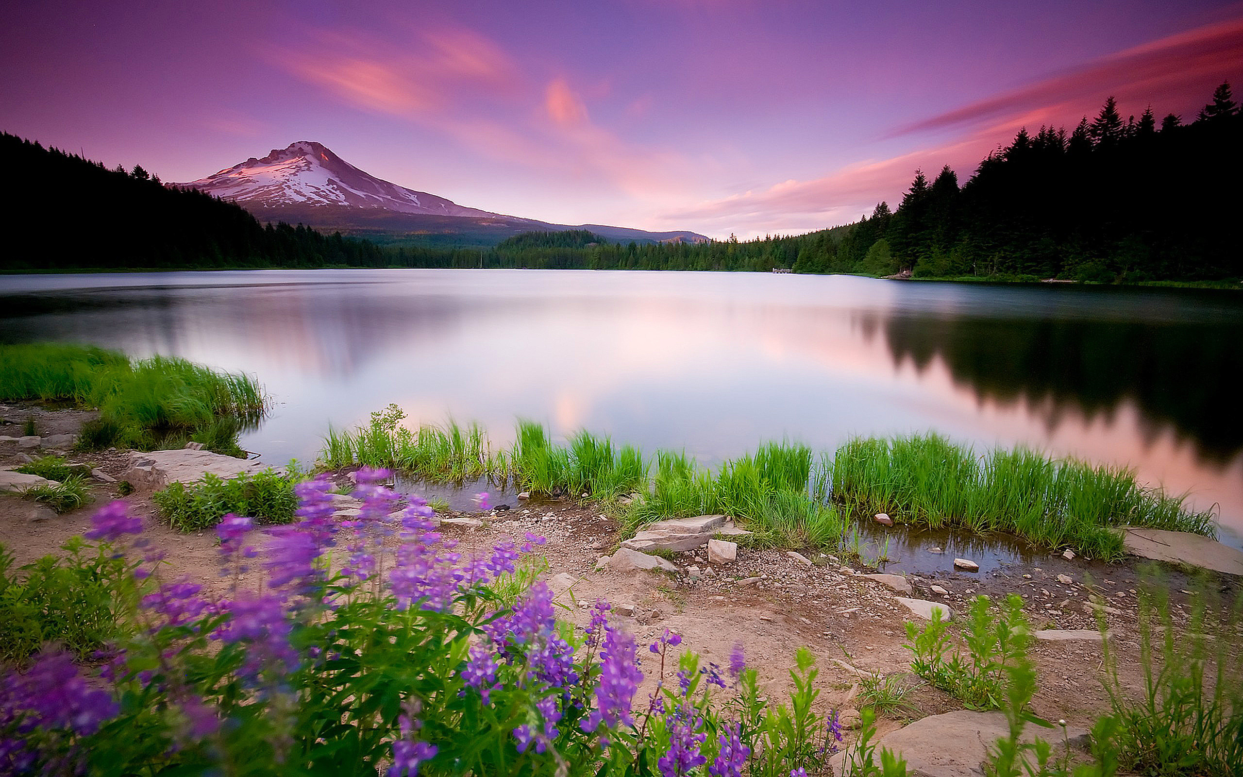 Beautiful Nature Scenery Wallpaper 56 Images 