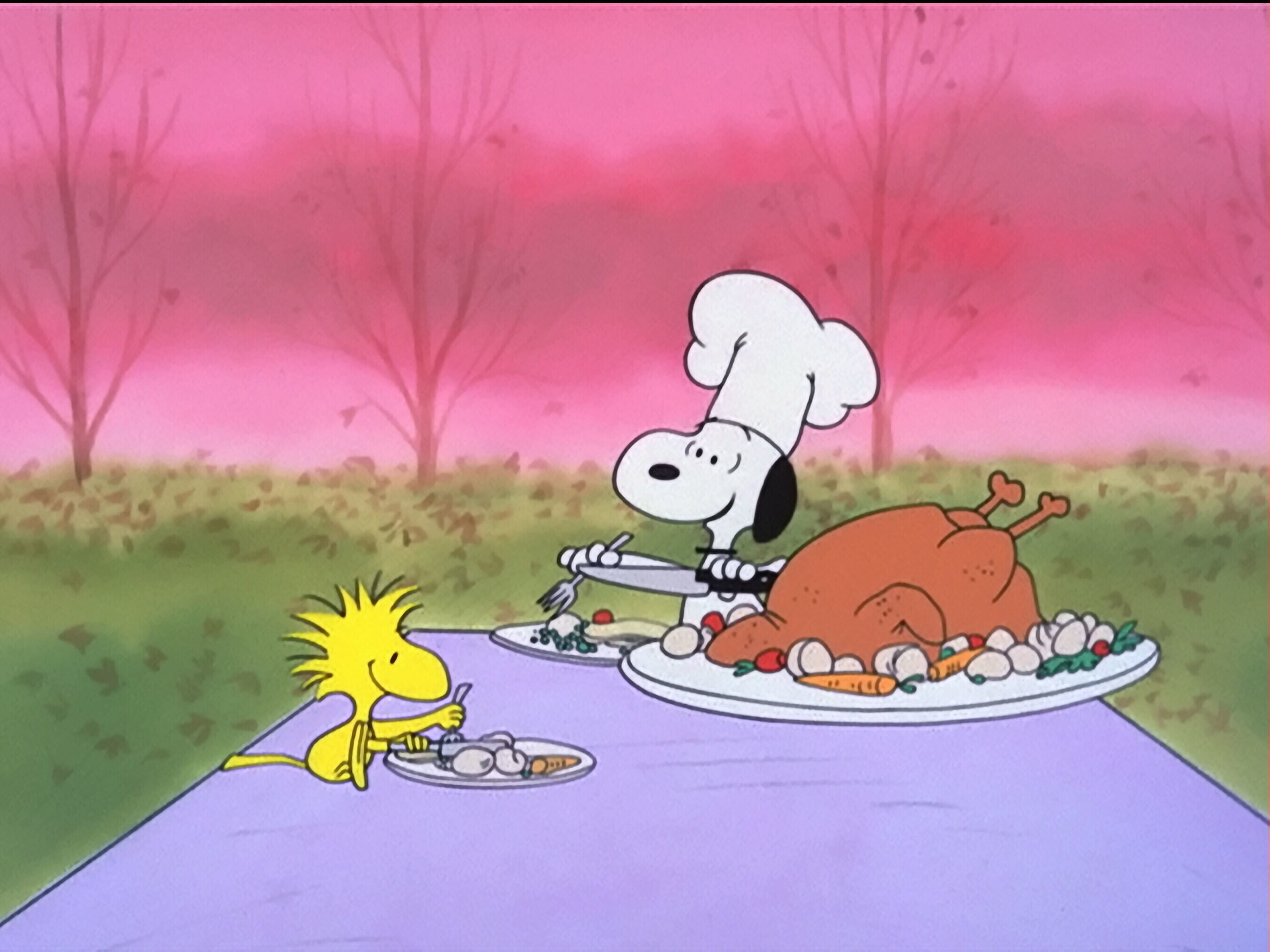 Snoopy and Woodstock Thanksgiving Wallpaper (56+ images)