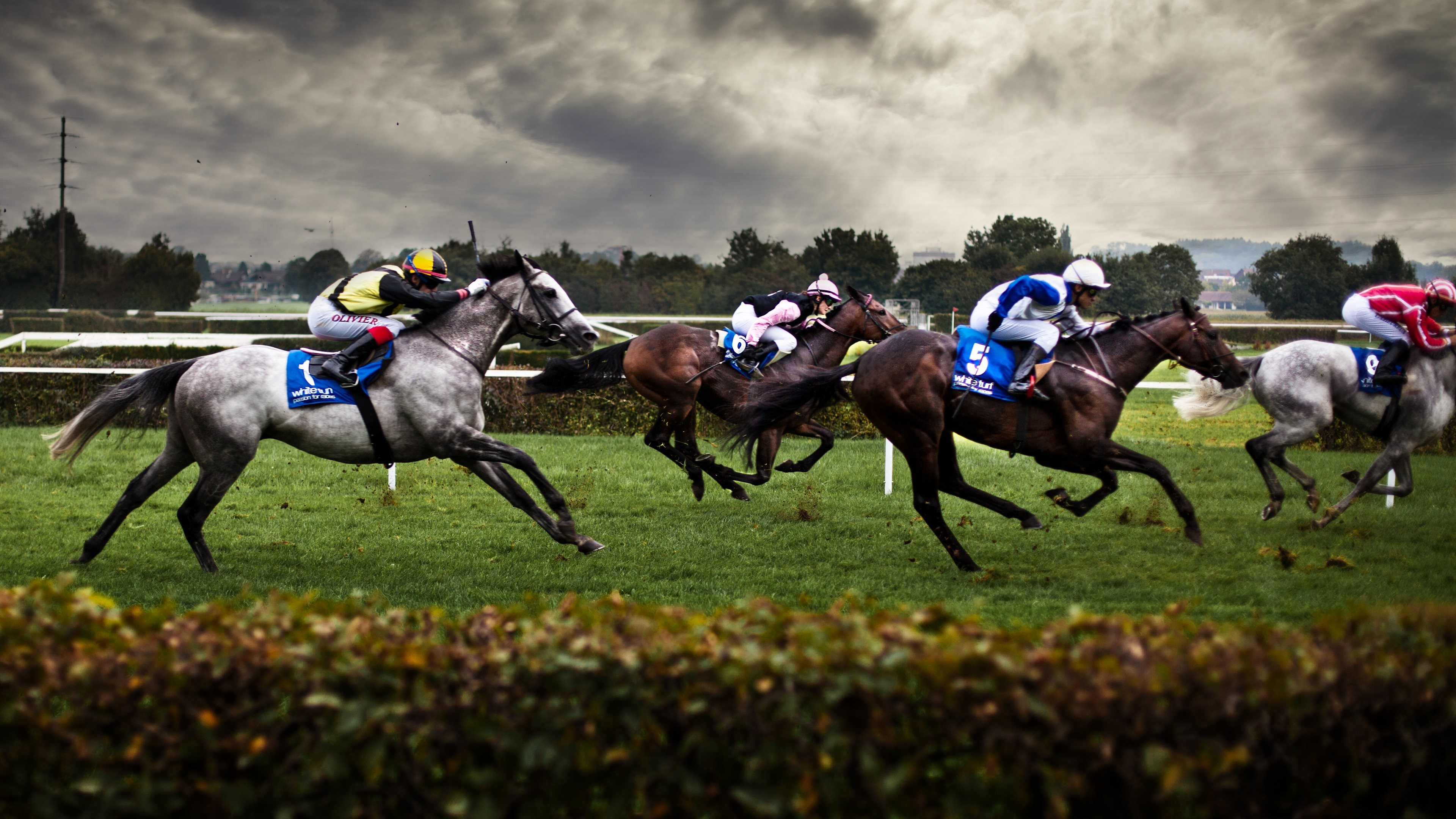 Horse Racing Wallpaper 52 Images Horse Racing Wallpaper 52 Images