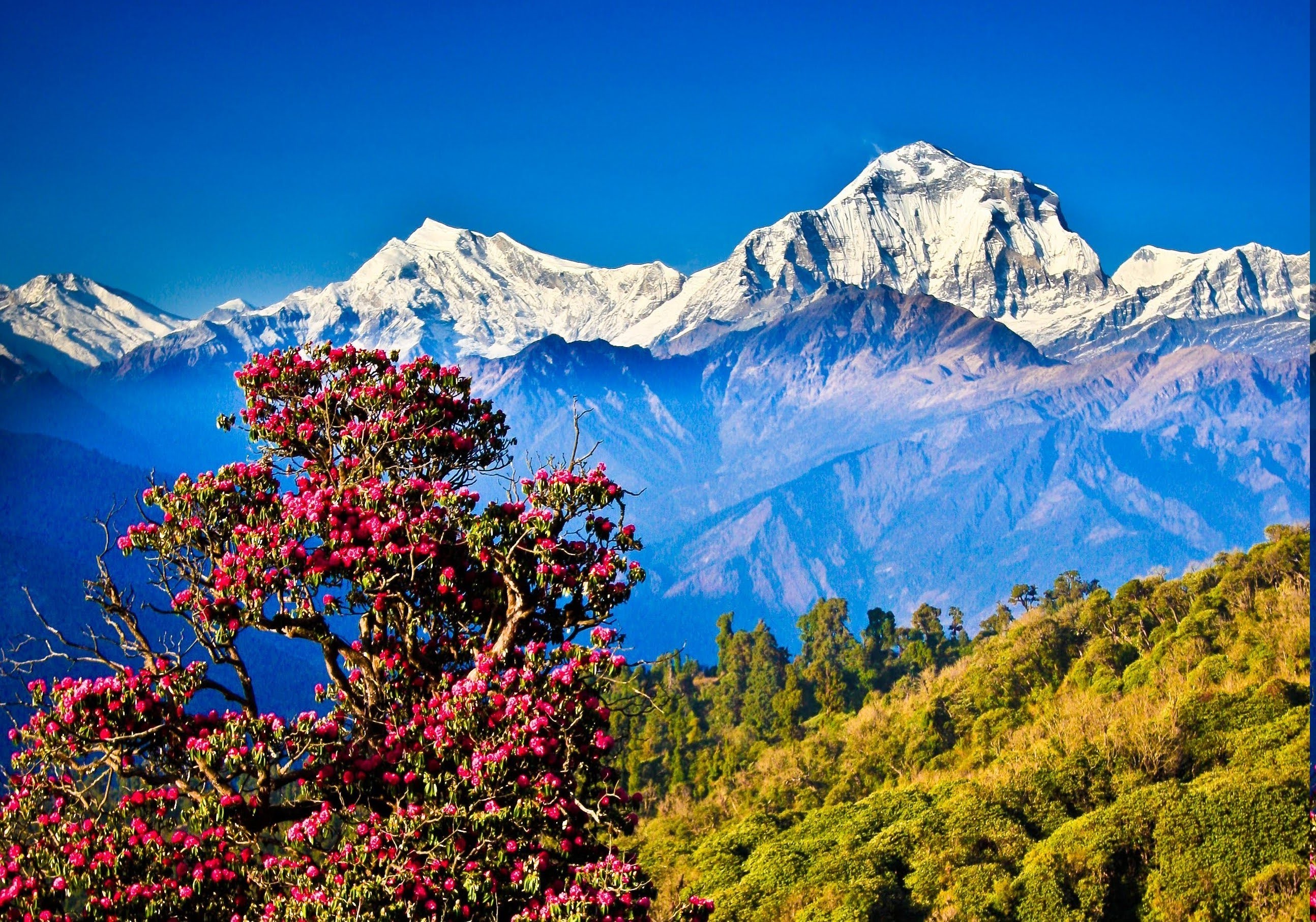 Nepal Wallpaper (60+ images)