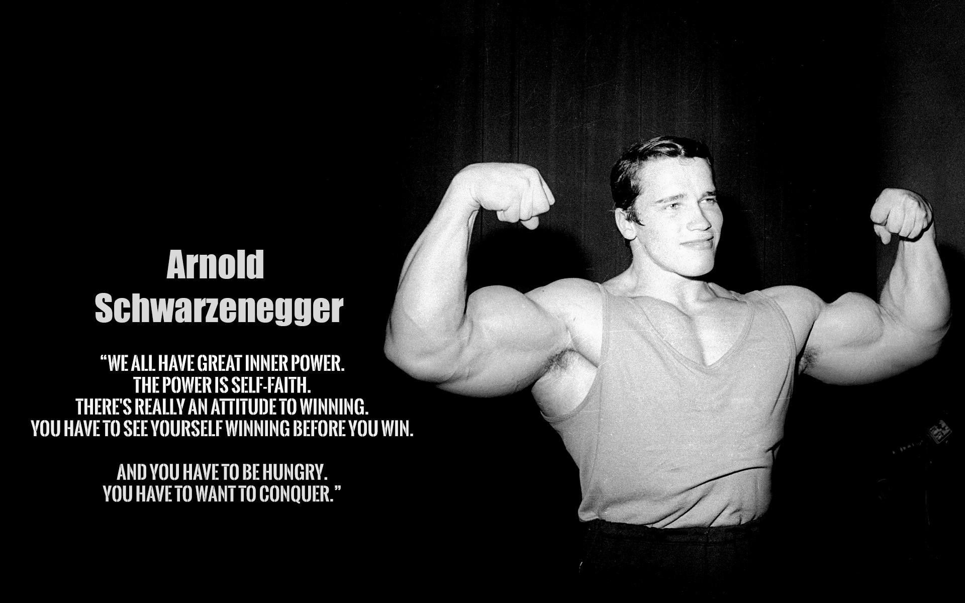 Arnold Schwarzenegger Workout Chart Download