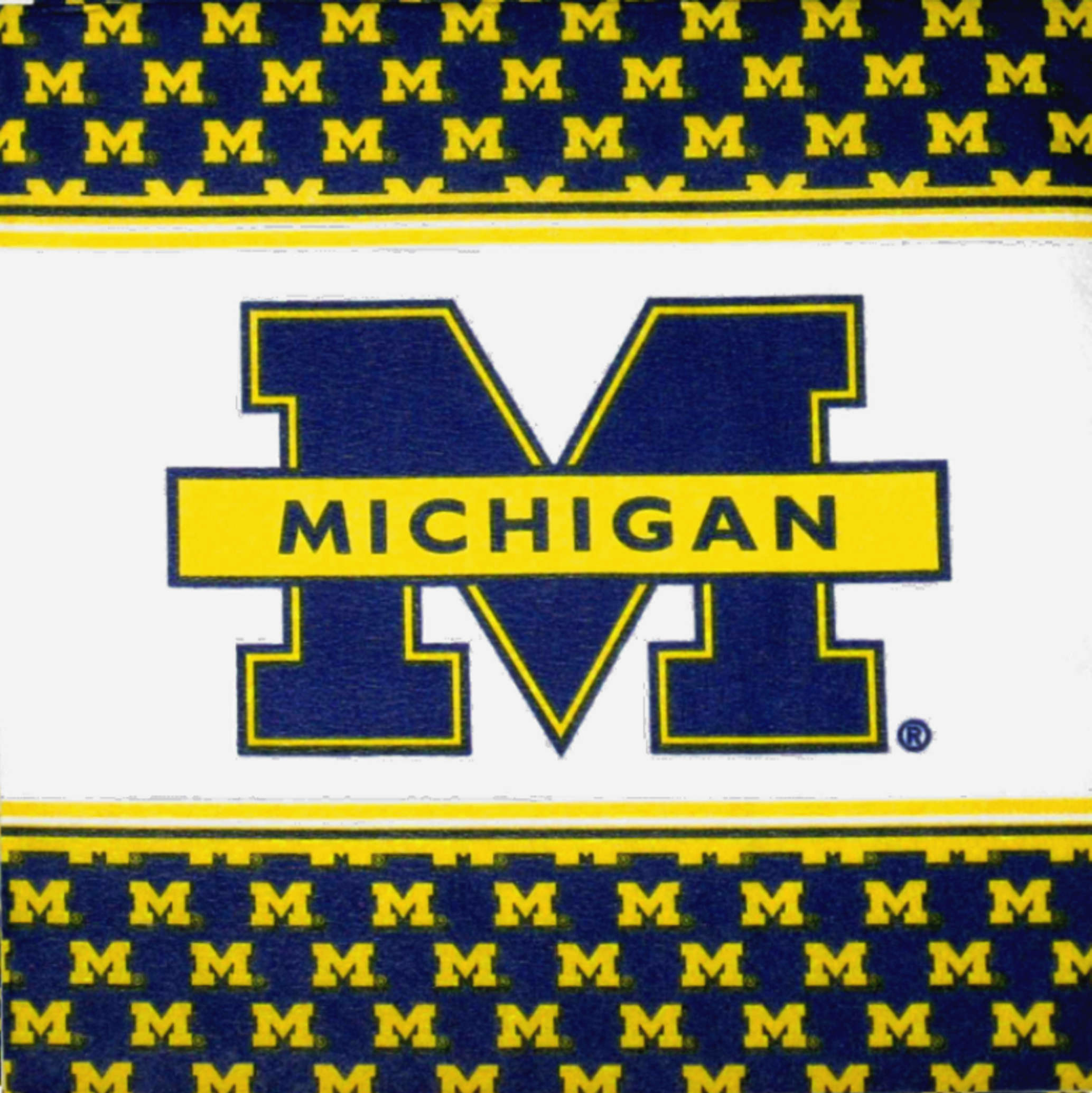 Michigan Wolverines Logo Wallpaper (68+ images)