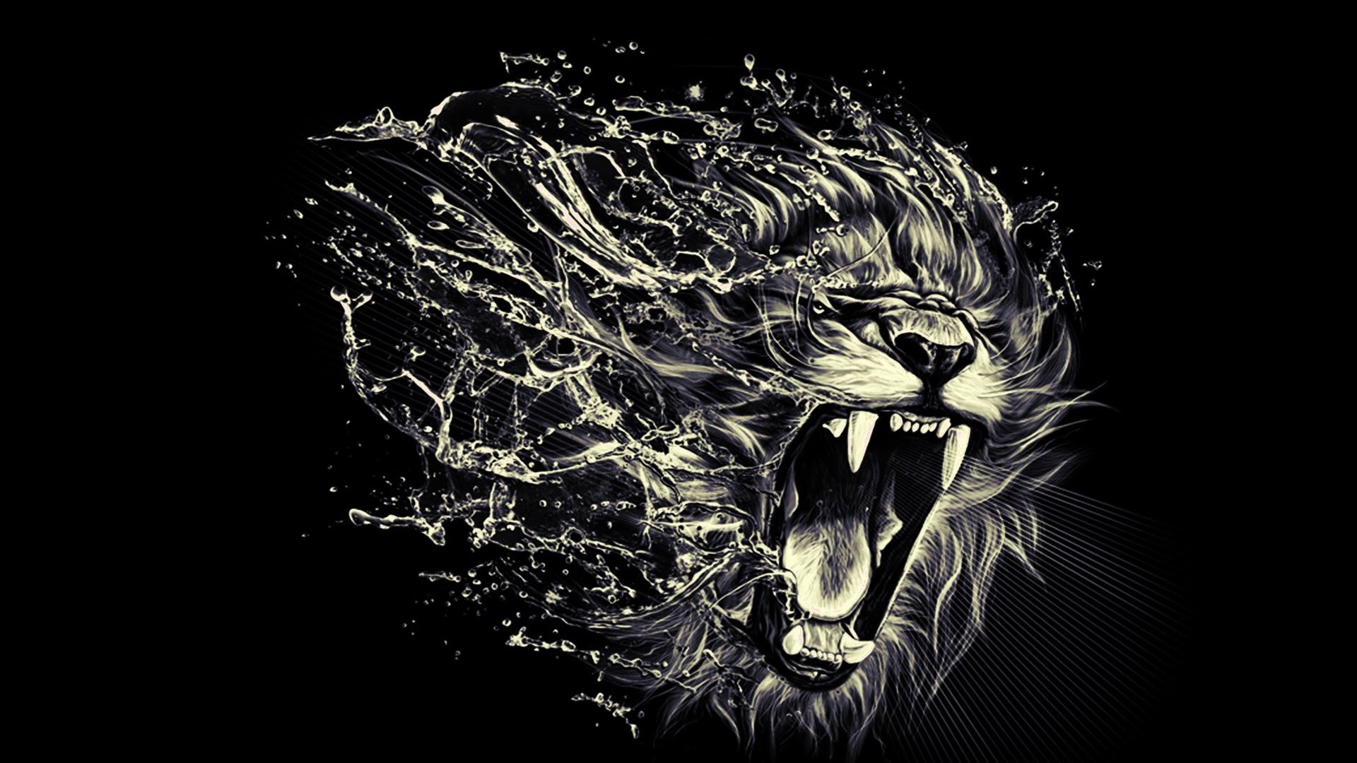 Black Lion HD Wallpaper (64+ images)