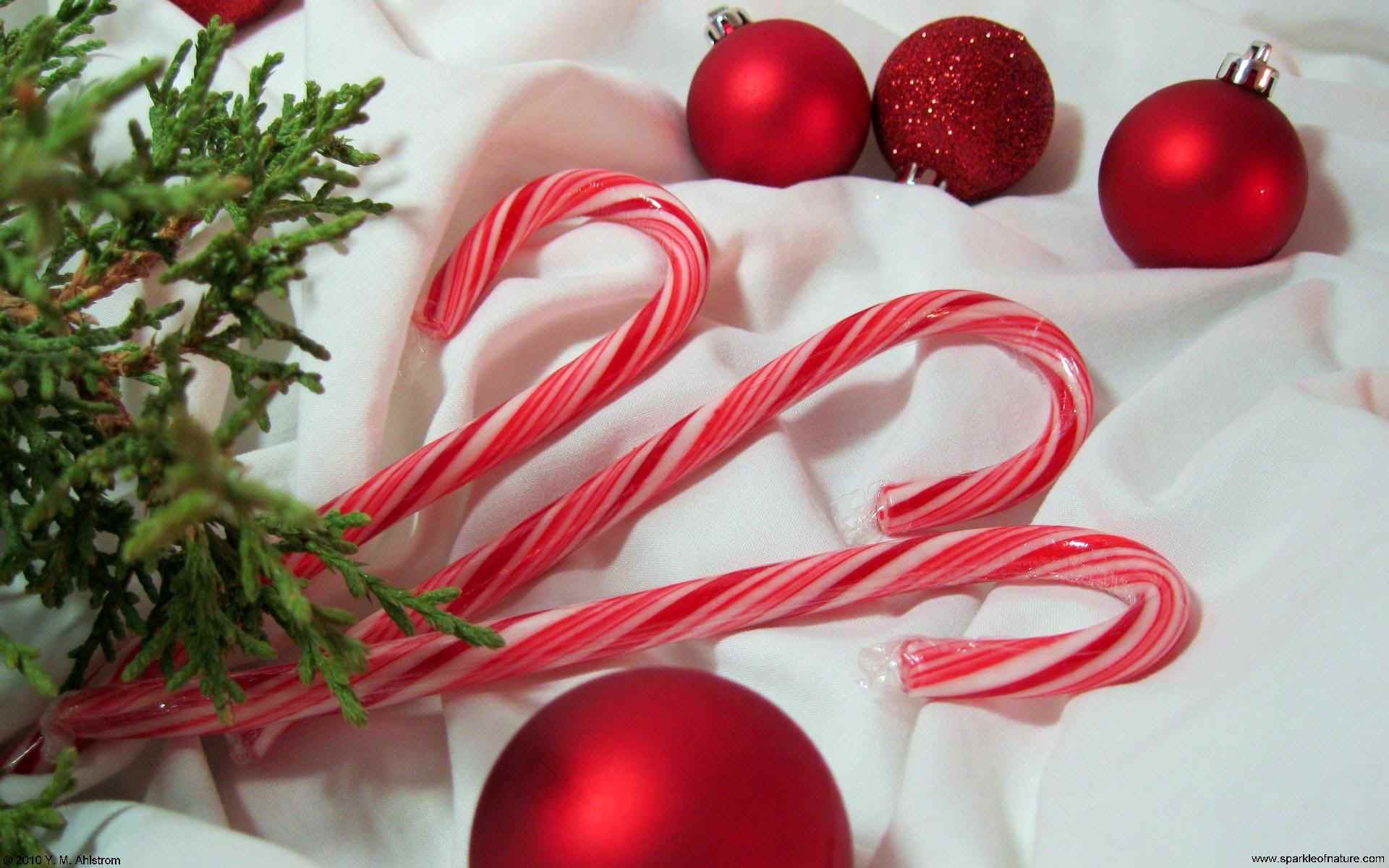 Aesthetic Christmas Wallpaper Candy Cane Wallpaper