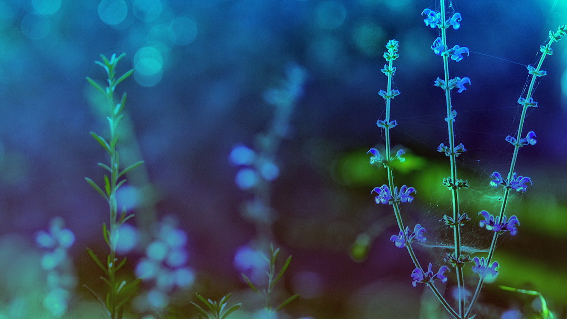 Wallpaper Themes 61 Images 