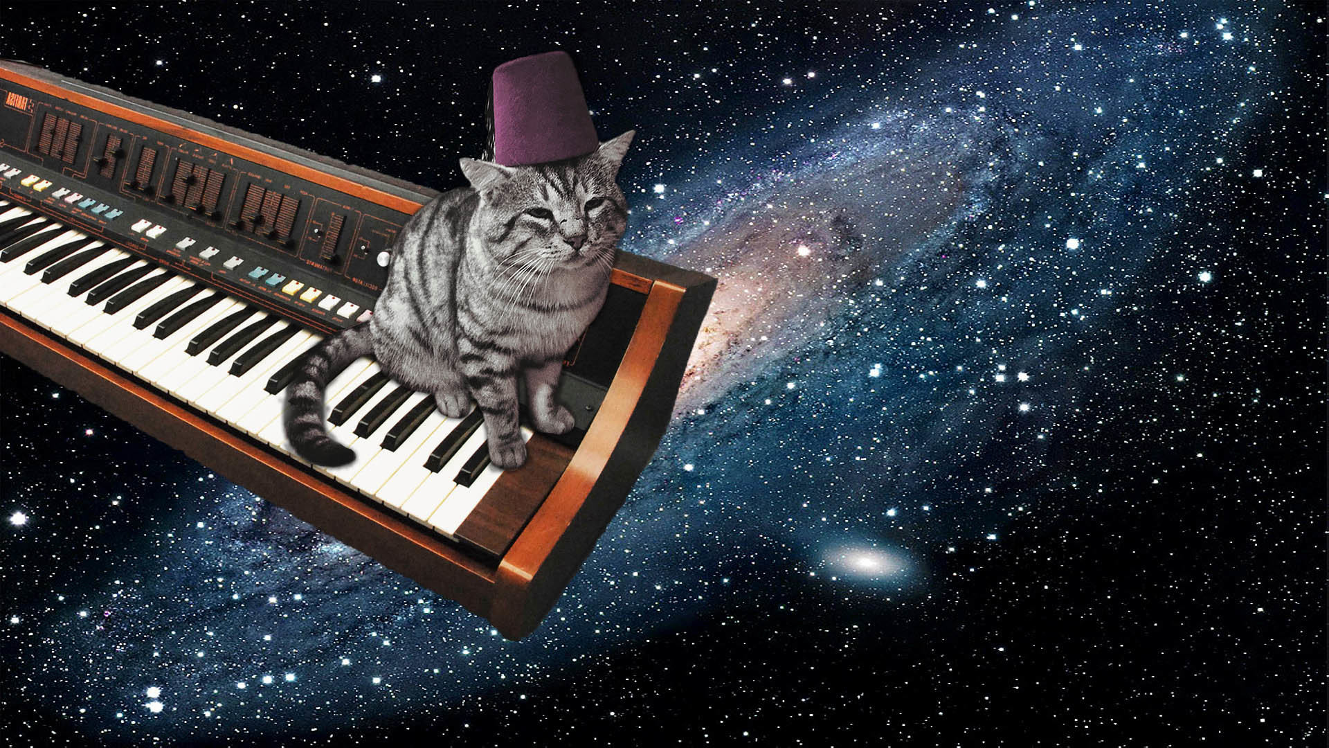 Space Cat Wallpaper (63+ images)