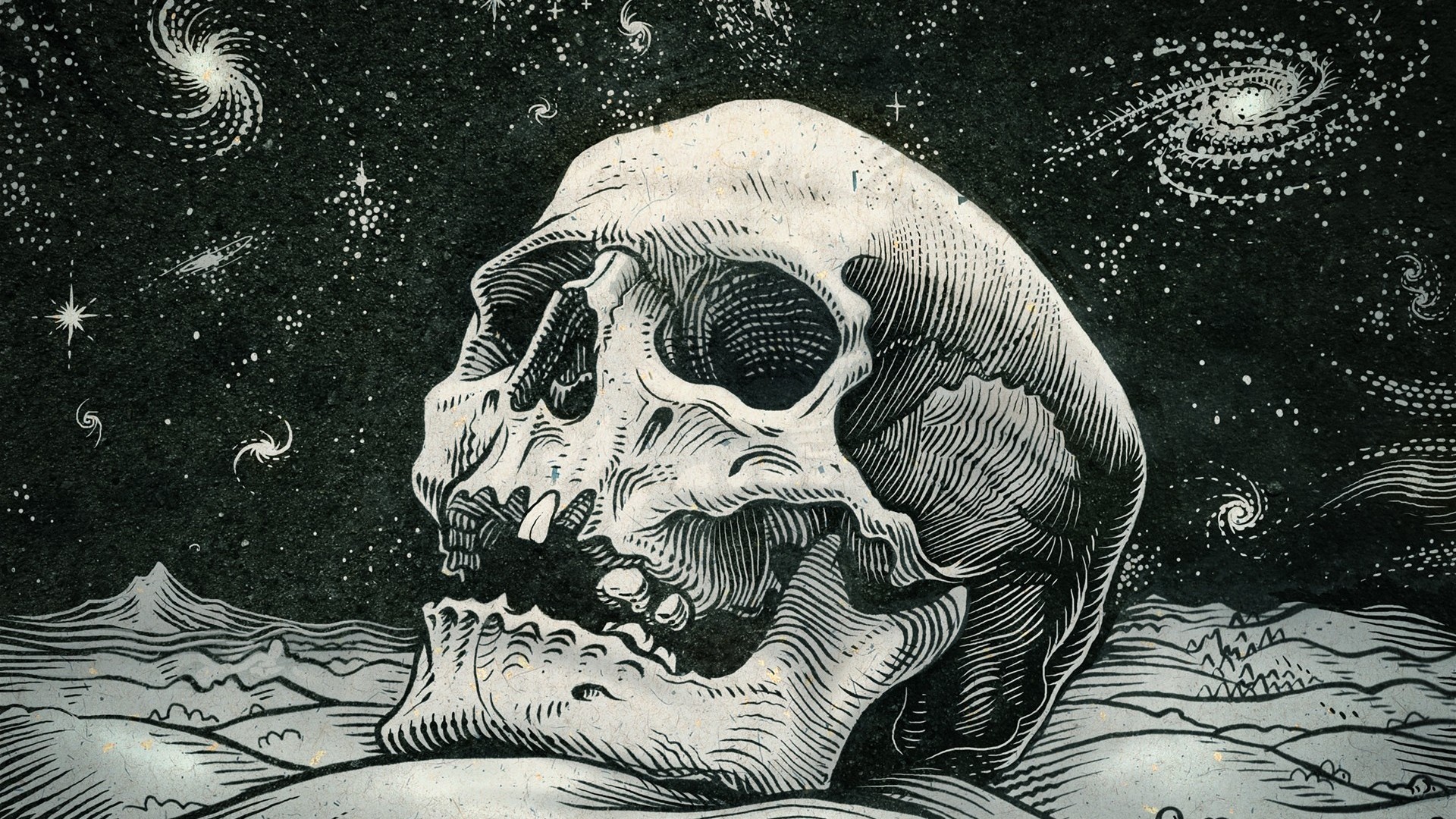 HD Skull Wallpapers 1080p (55+ images)