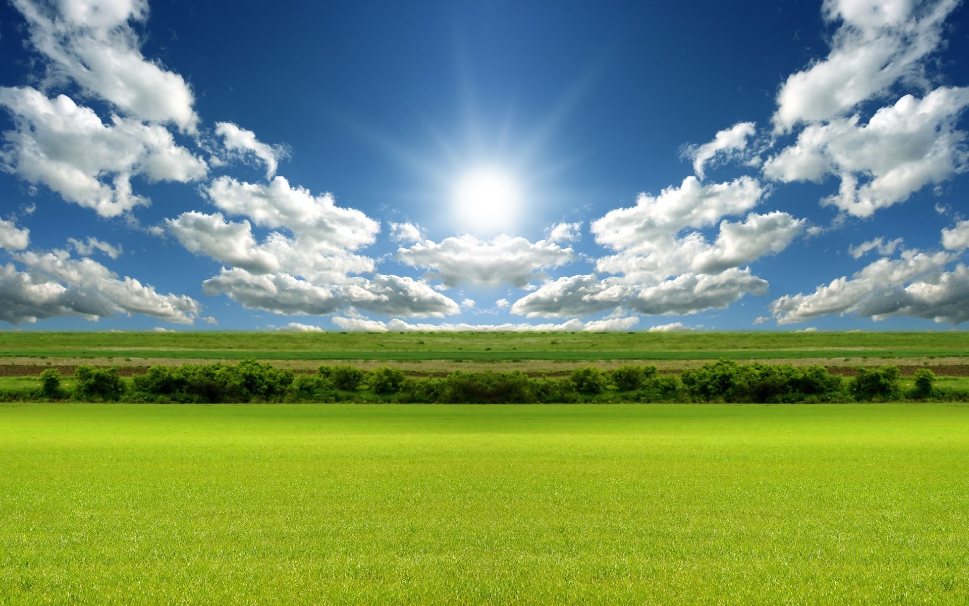 Sunny Day Background 38 Images