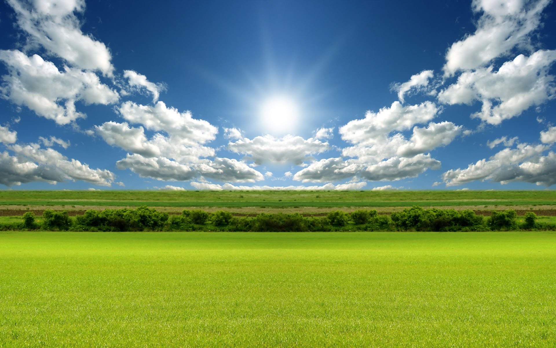 Sunny Day Background 38 Images 