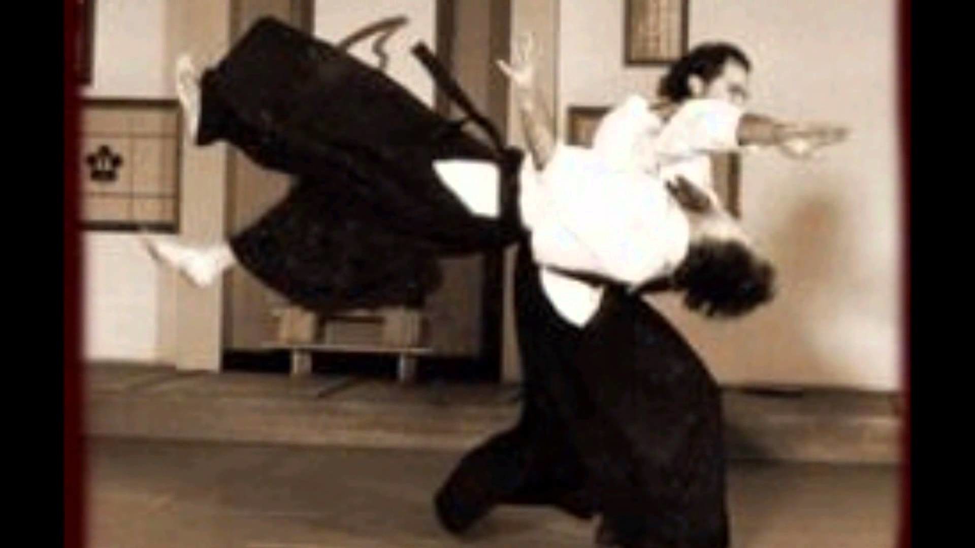 Aikido Wallpaper (63+ images)