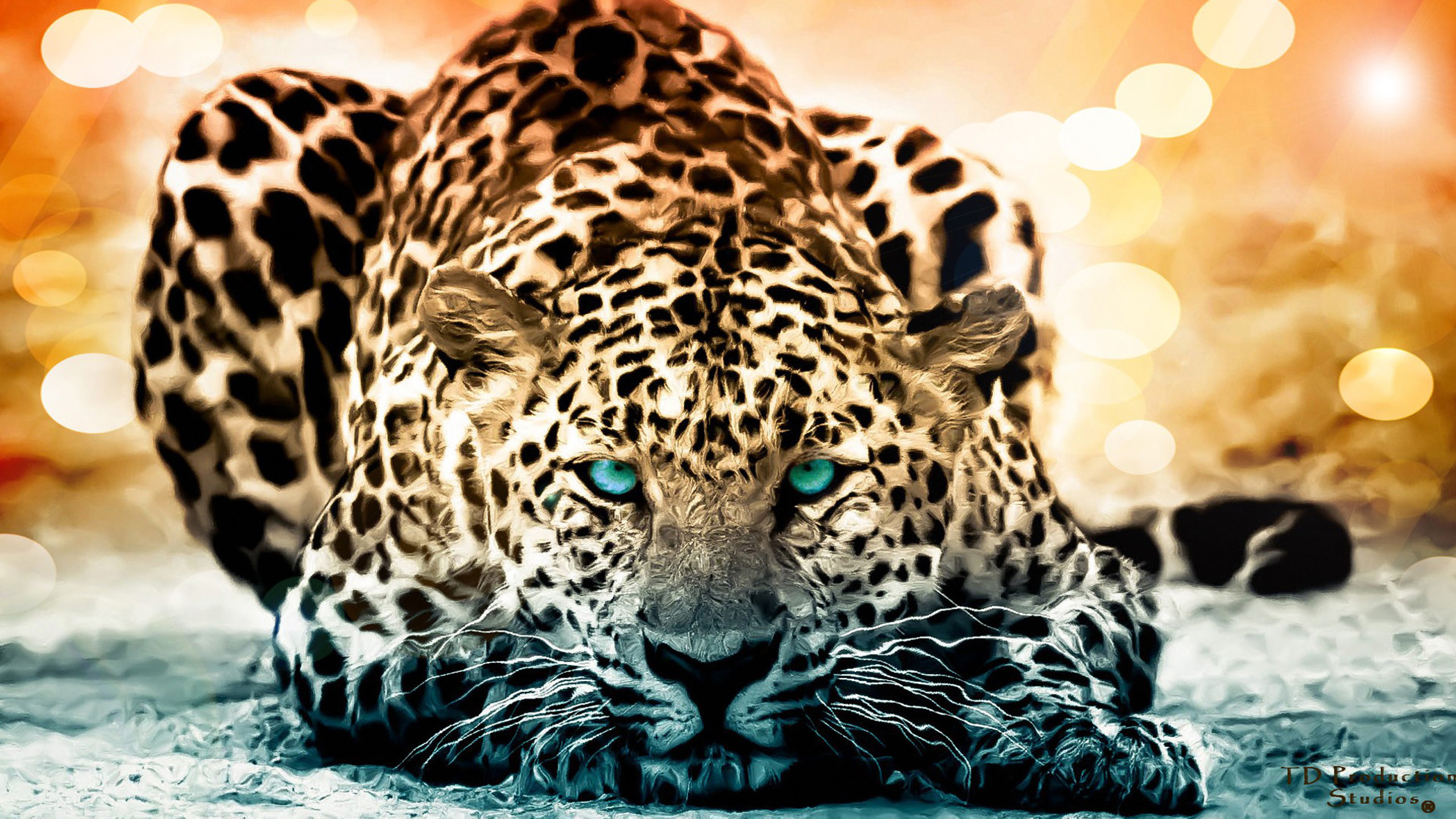 Wild Animals Wallpaper 52 Images 