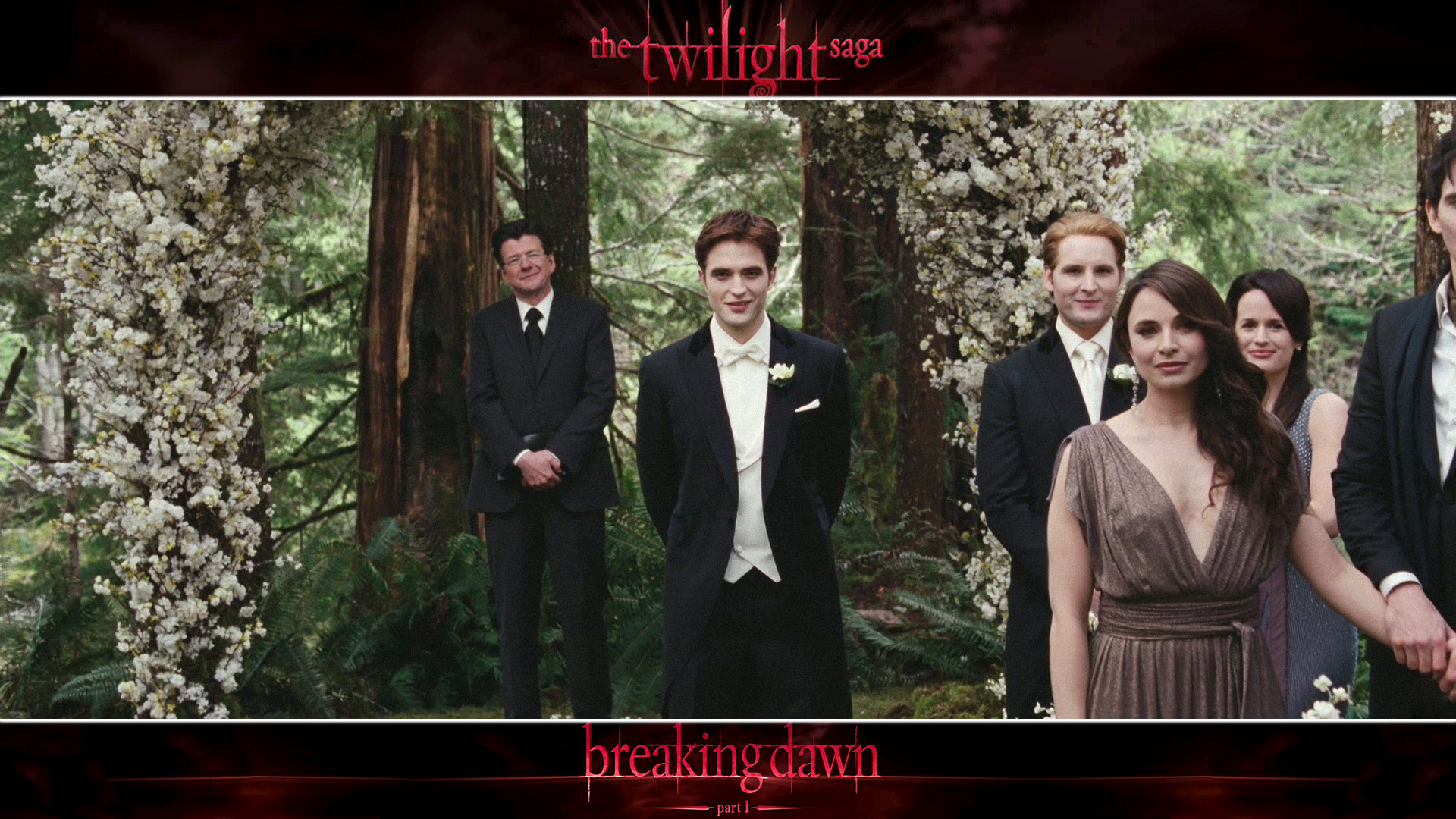 Twilight Saga Wallpaper (67+ images)