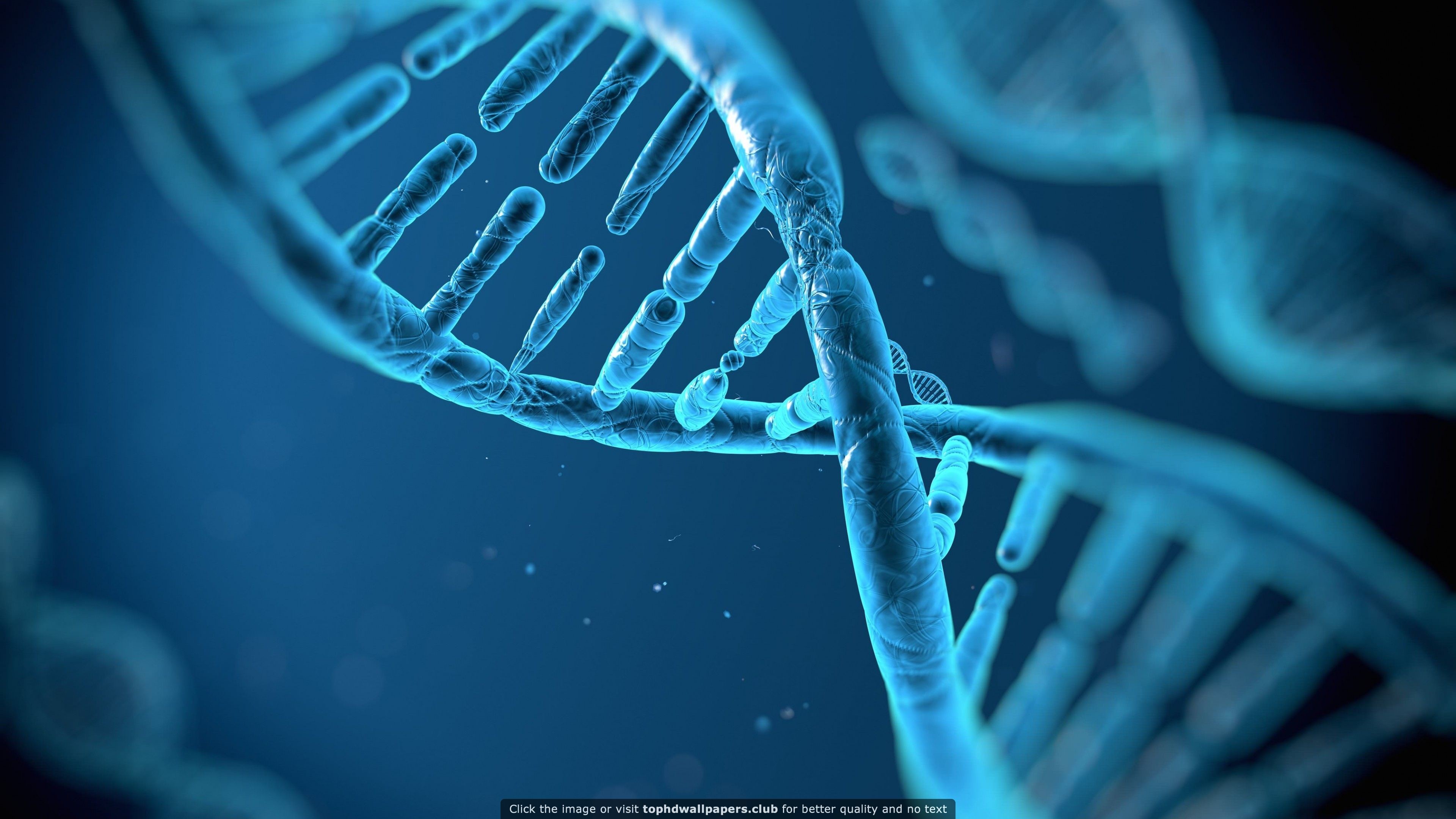 3840x2160 DNA Structure HD wallpaper for your PC, Mac or Mobile device