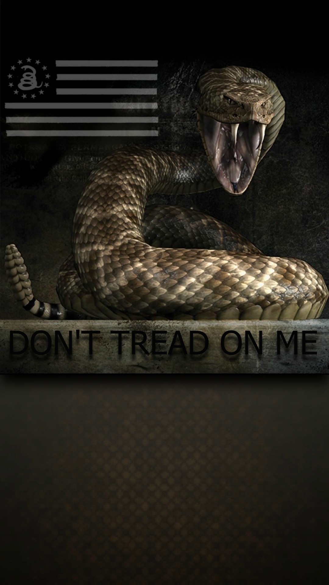 Dont Tread on Me Wallpaper (74+ images)