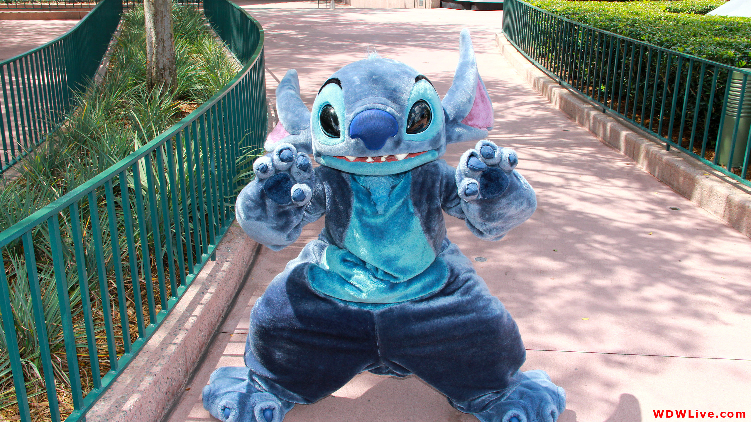 Stitch iPhone Wallpaper (69+ images)