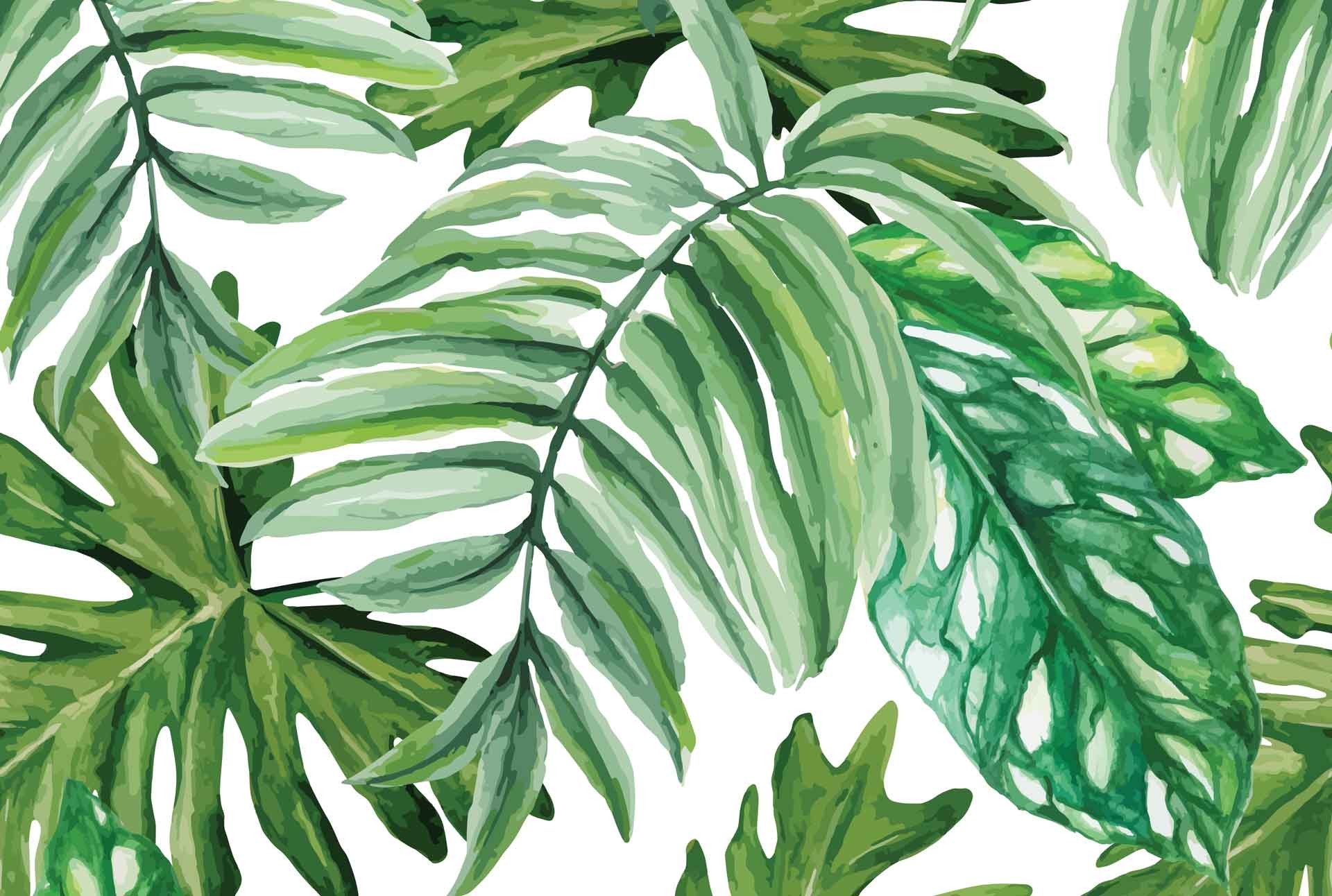 Tropical Palm Leaf Wallpaper (24+ images)