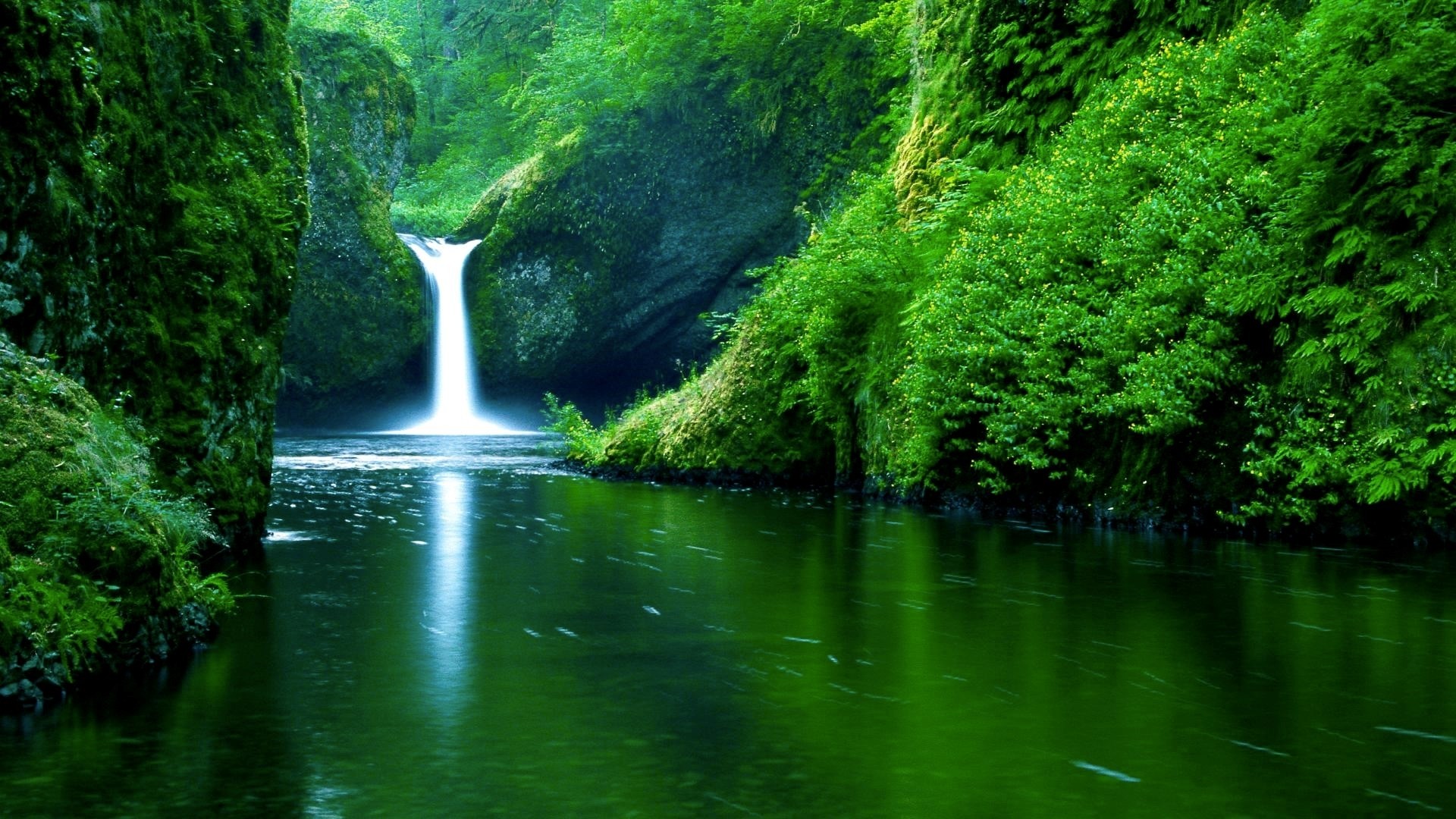 Best Live Wallpapers For PC 51 Images 