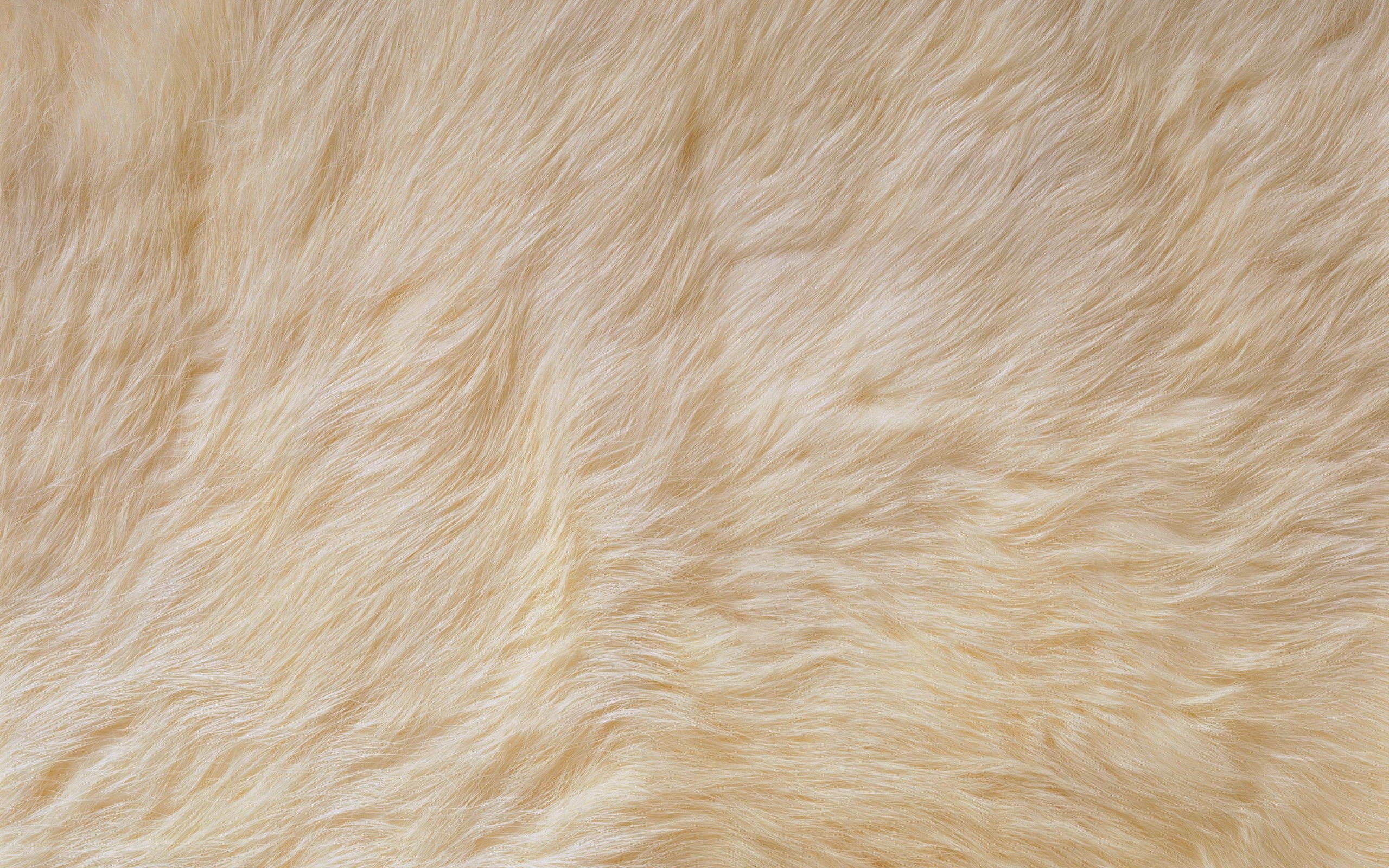 Fur Wallpaper (52+ images)