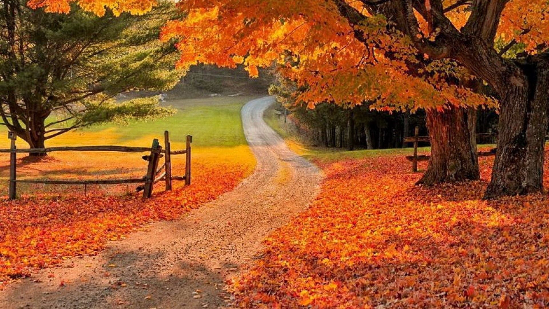 Beautiful Fall Backgrounds (50+ images)