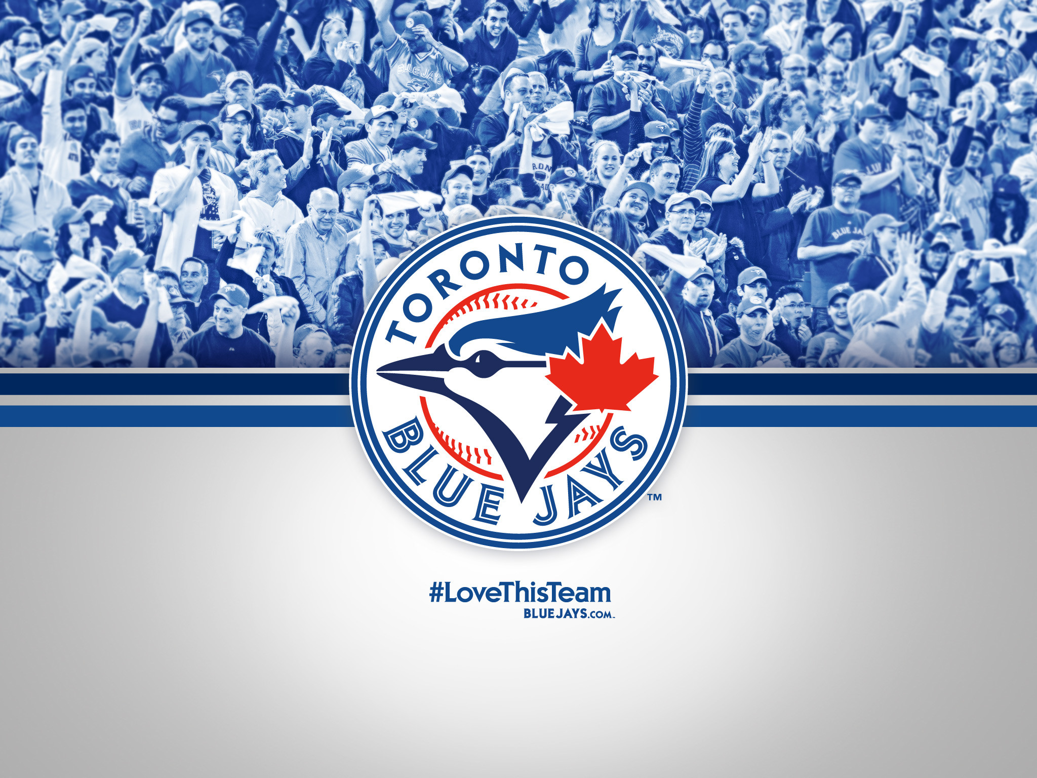 Toronto Blue Jays Wallpaper iPhone (74+ images)