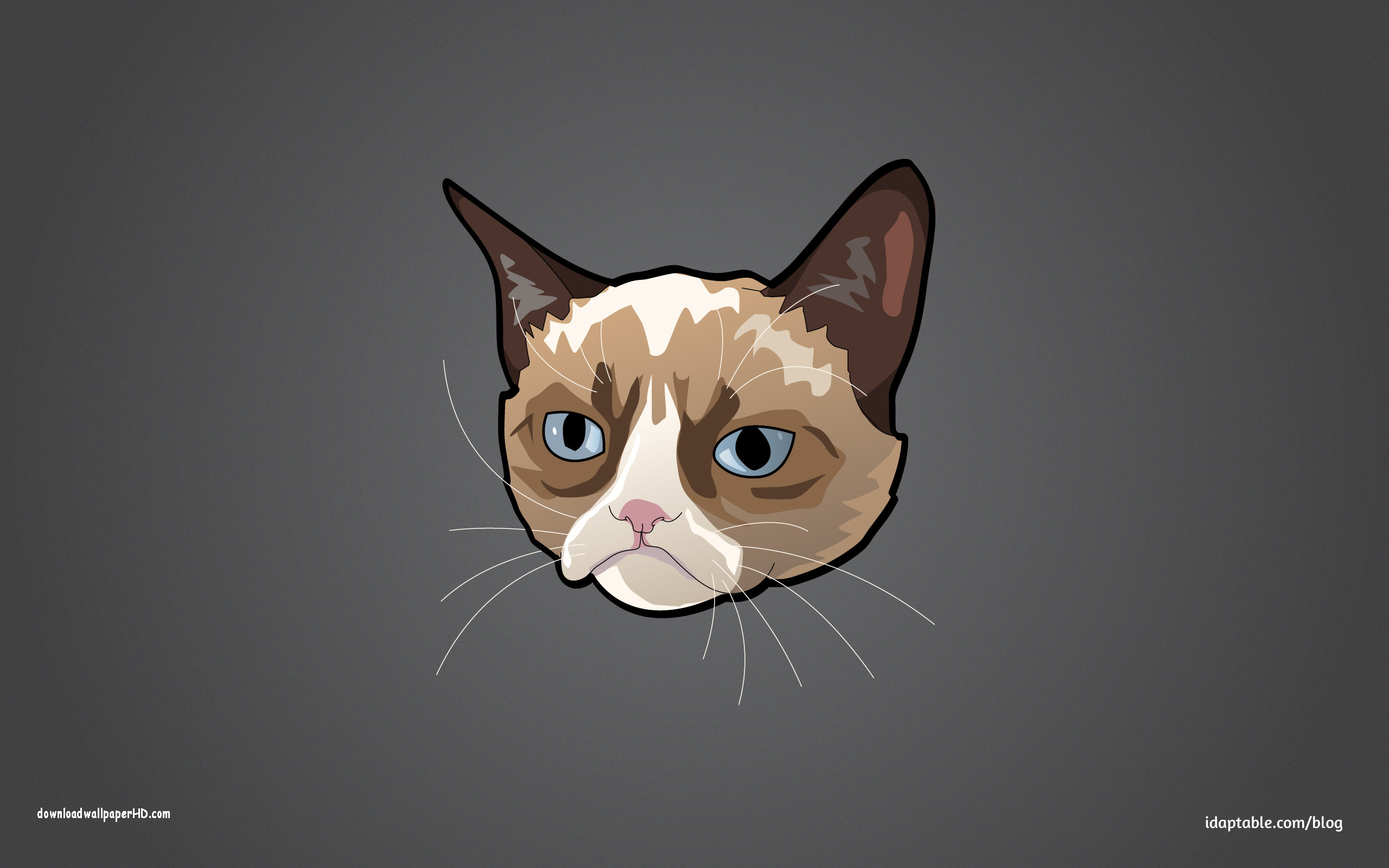 Grumpy Cat Wallpapers HD (61+ images)
