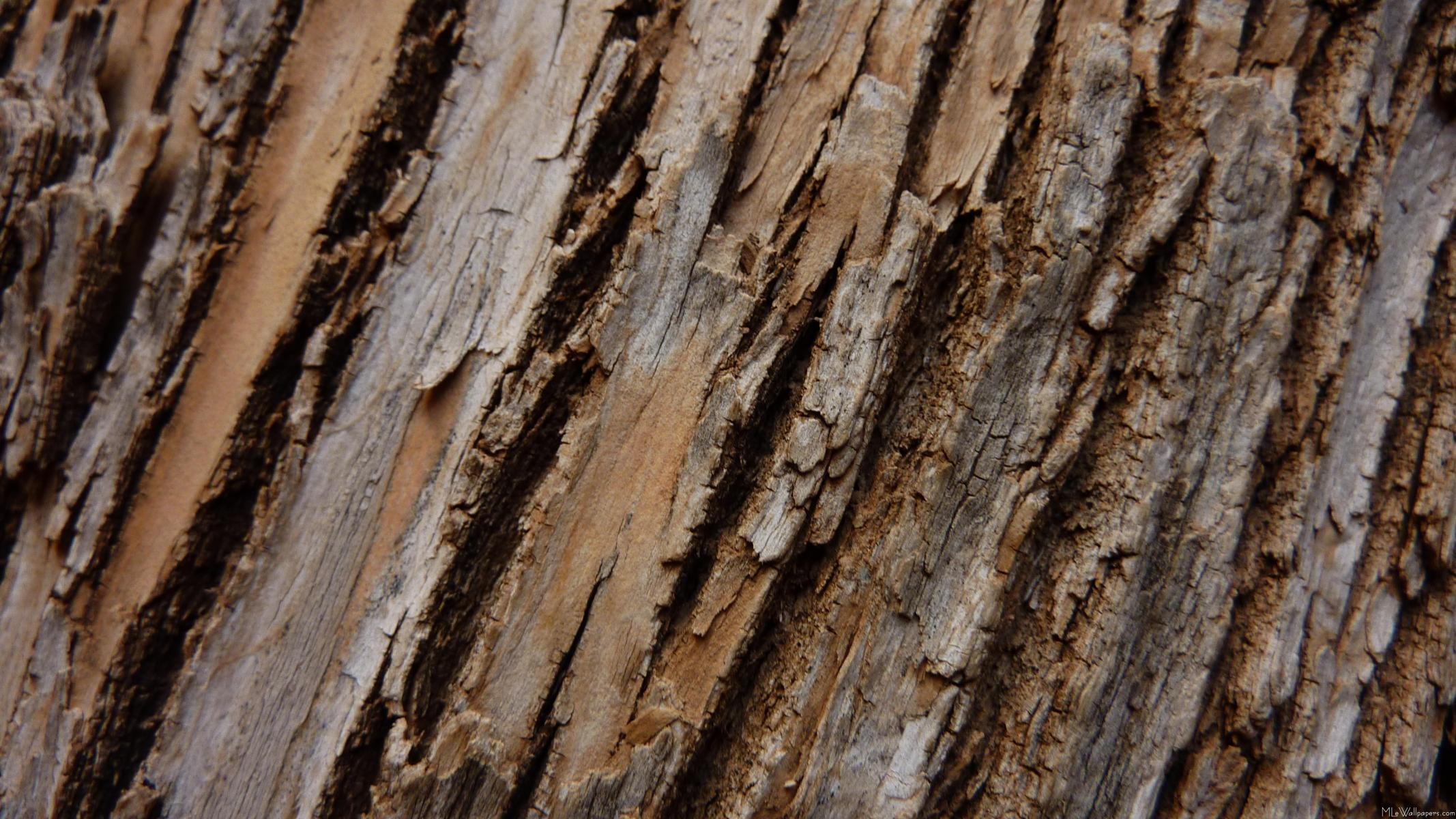 2134x1200 Birch Texture Wallpaper Birch bark texture background 0 HTML code. Tree Bark  I