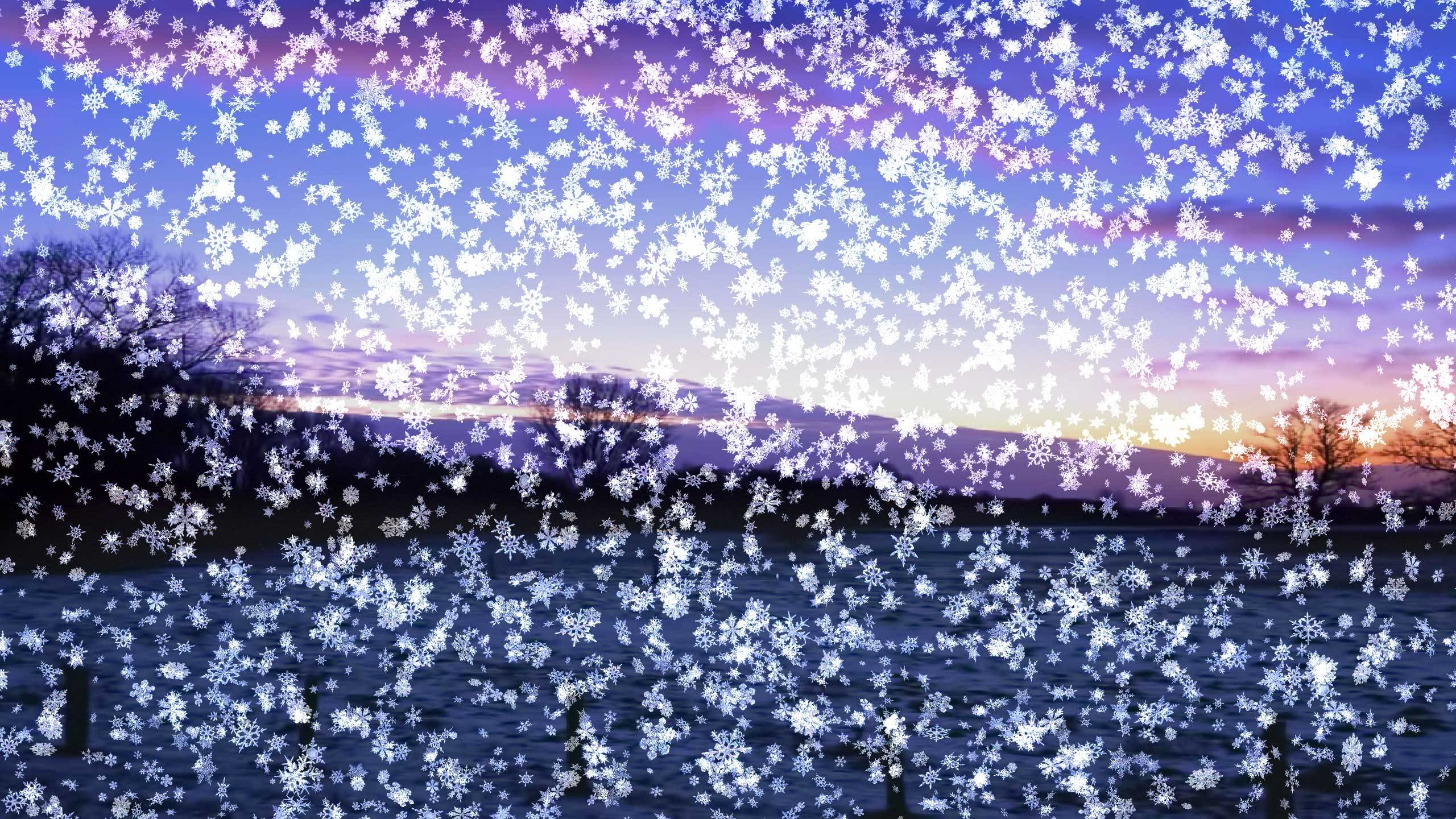 2560x1440 Live Wallpapers And Screensavers For Windows 10 8 7. Another Way To Make Snow  Falling