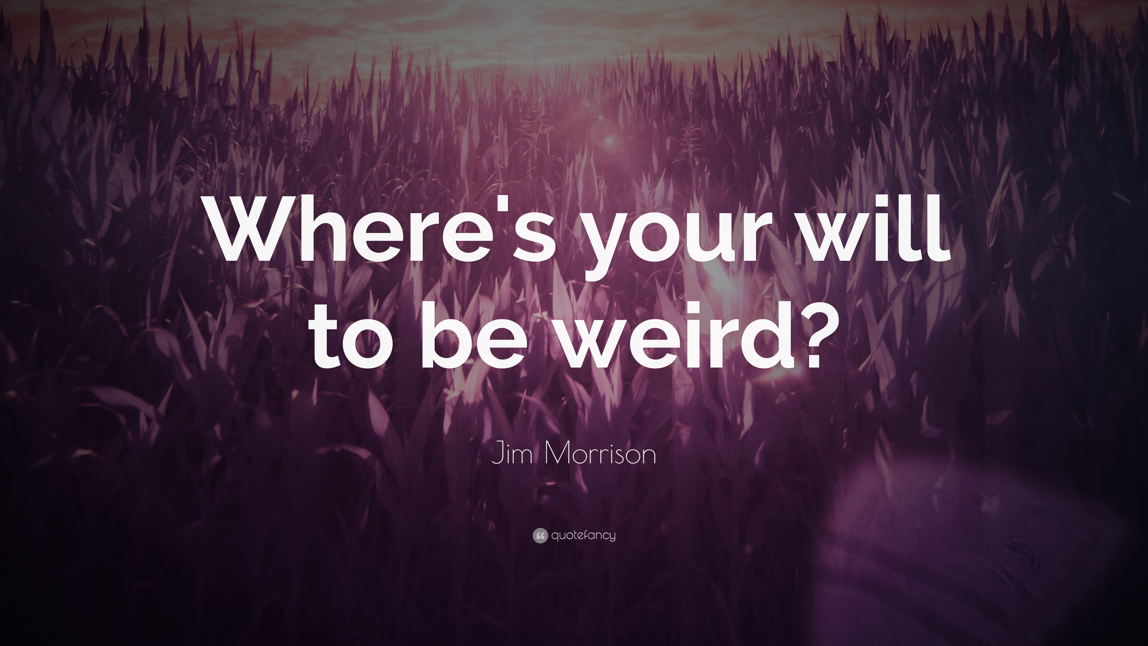 3840x2160 Jim Morrison Quote: “Where's your will to be weird?”