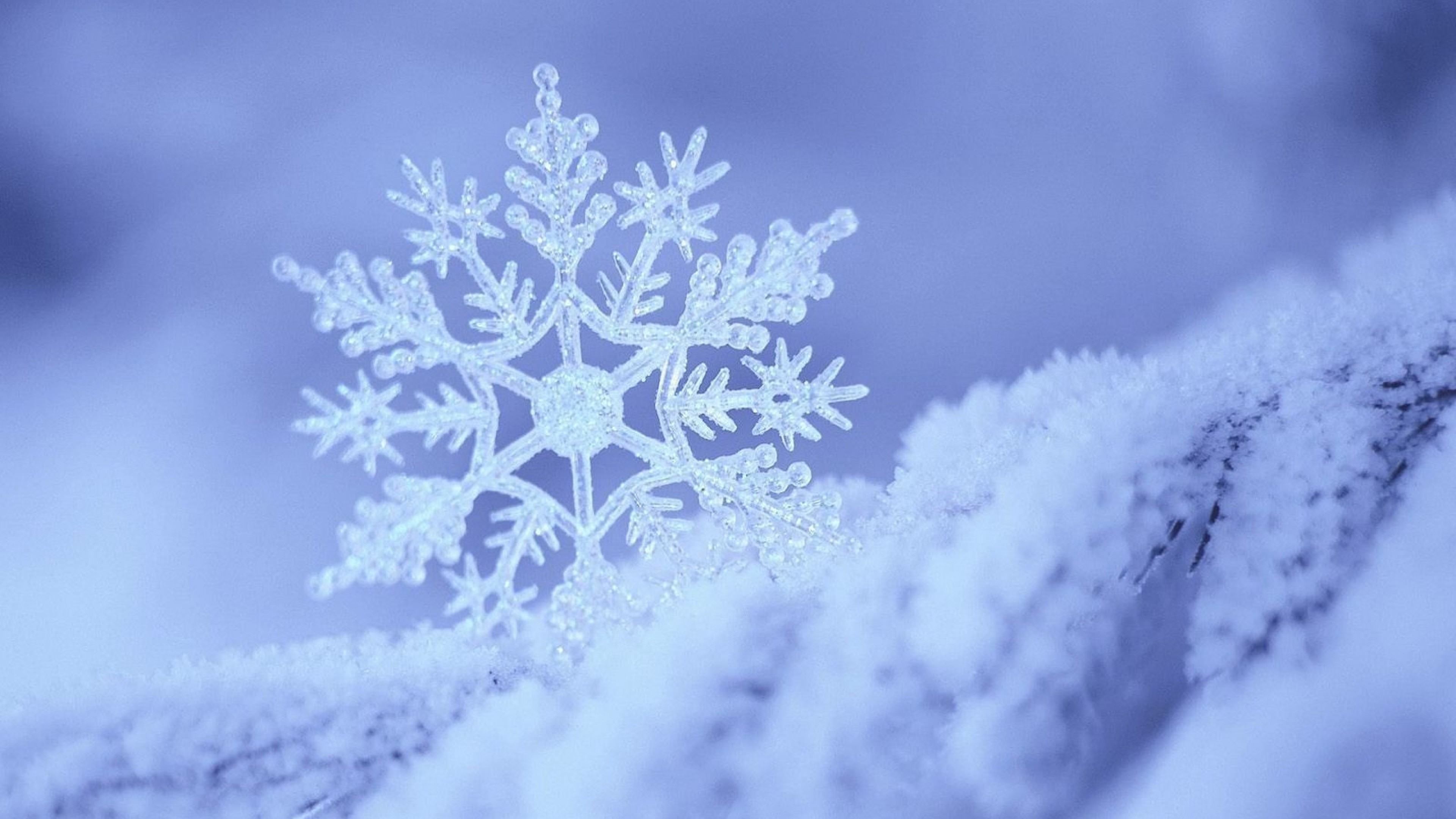 3840x2160 Winter Snowflakes Wallpaper | 