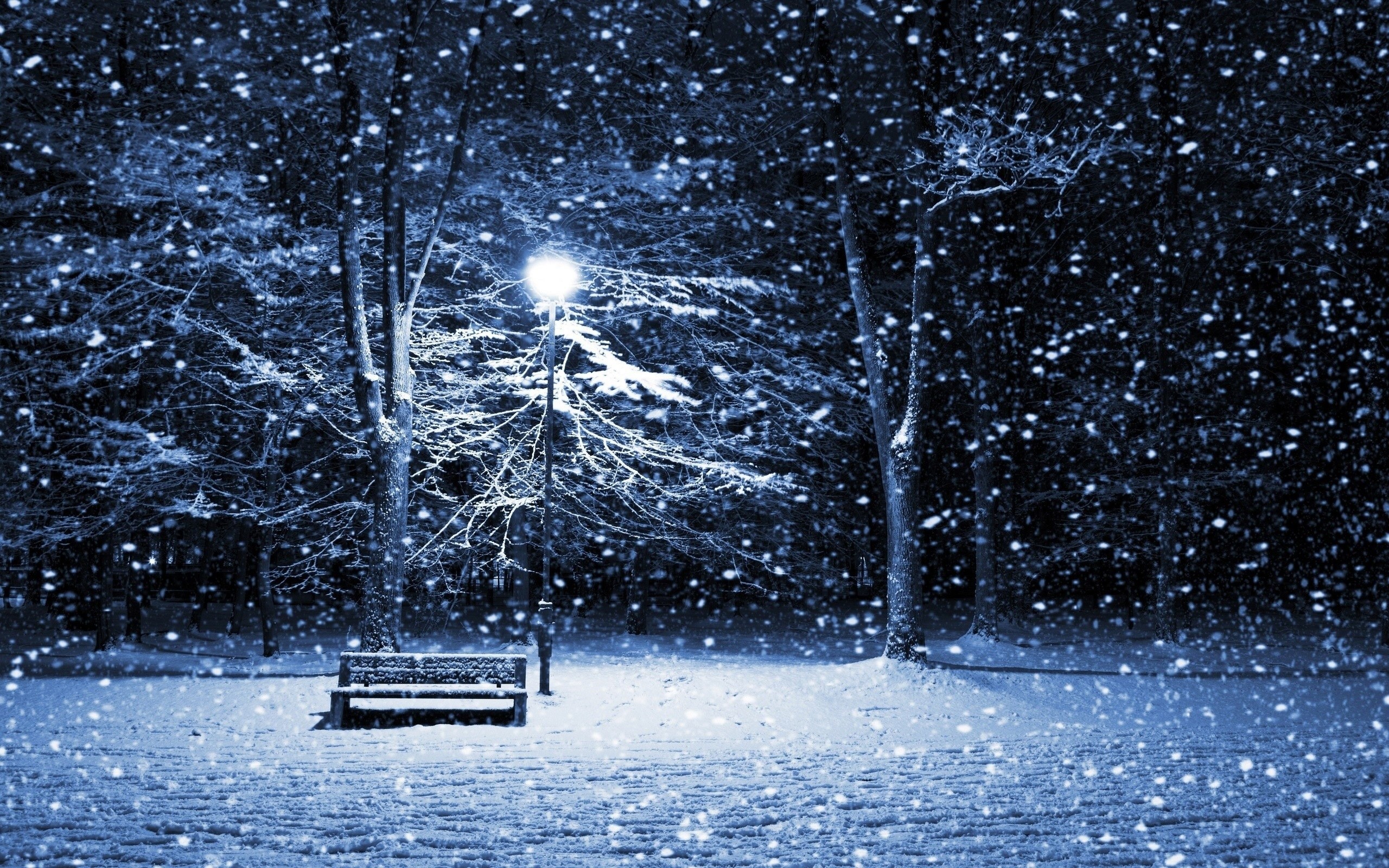 2560x1600 Winter, snow, tree, blizzard, snowstorm, bench, lantern