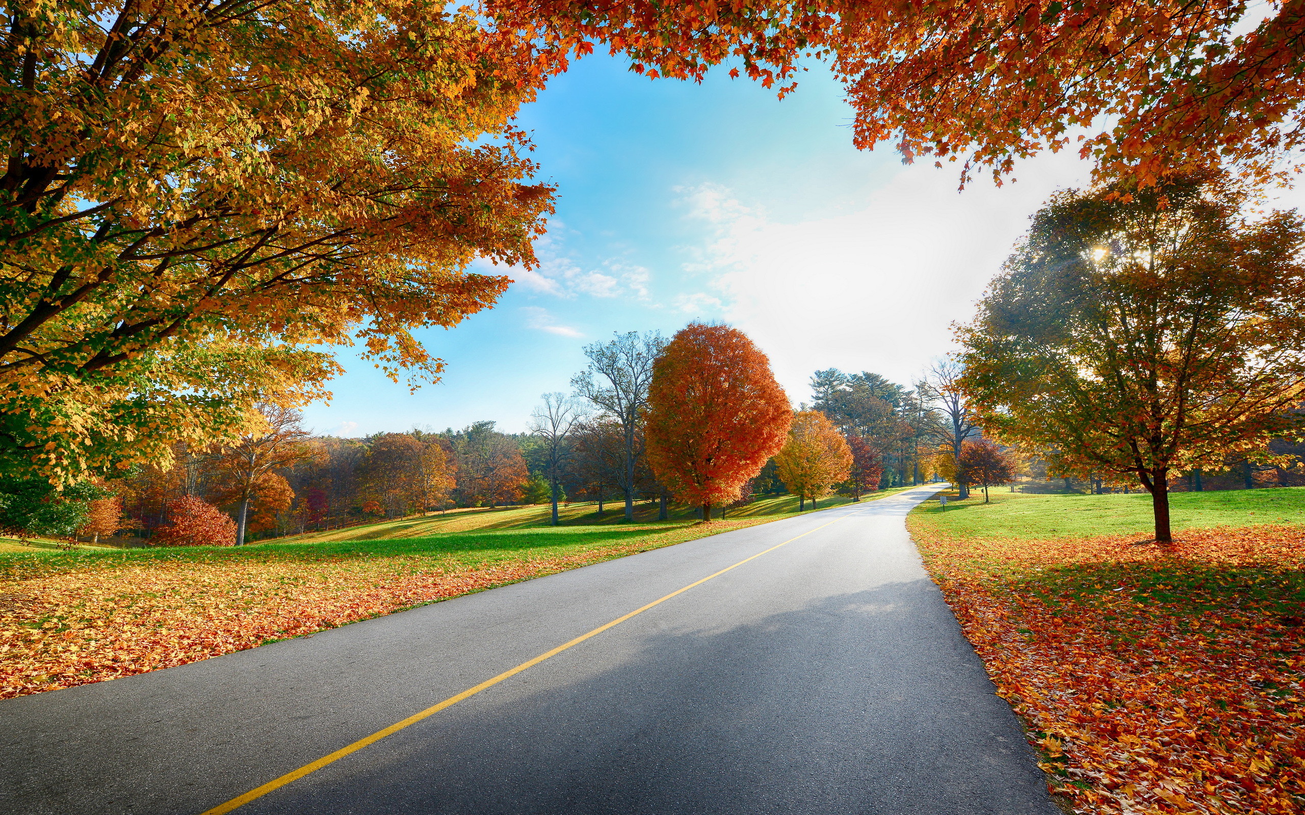 2560x1600 Nature / Highway Wallpaper. Highway, Autumn, Foliage ...