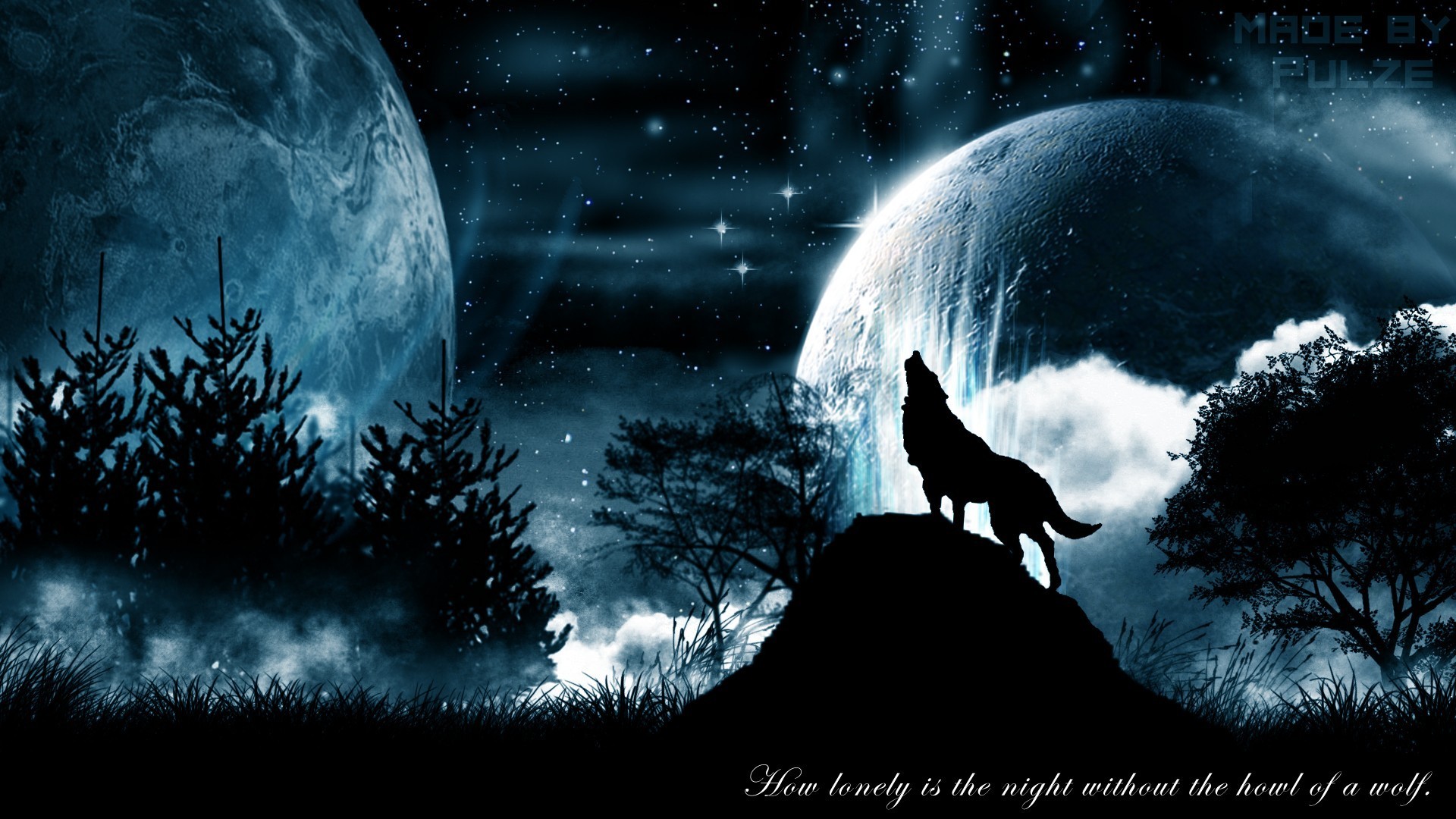 1920x1080 Free screensaver wolf moon picture (Gardner Cook 1920 x