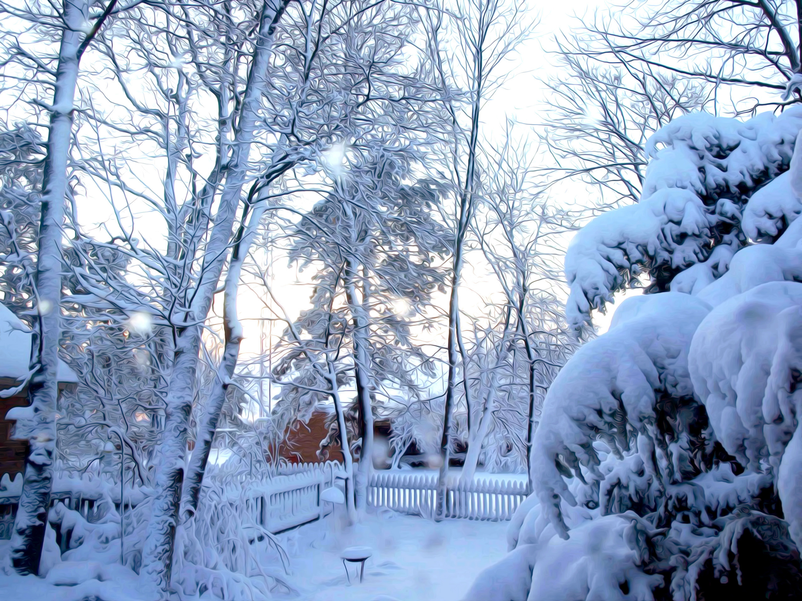 2560x1920 Download Link : Link Image Download. View Original Images : Winter Nature Snowing  Desktop Wallpaper